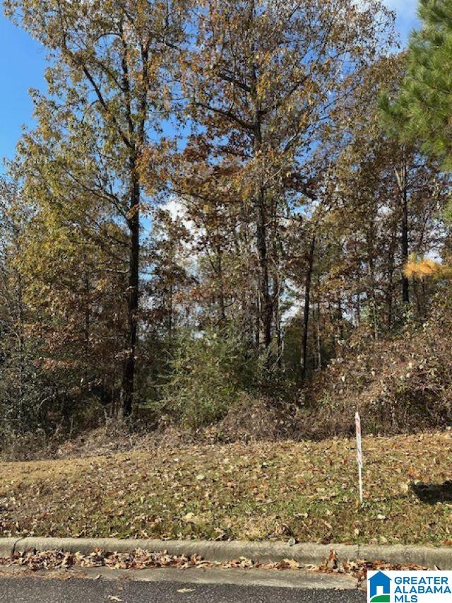 Homes for sale in Chelsea, AL | 113 Crest Dr, Chelsea, AL 35043 | MLS# 21404308