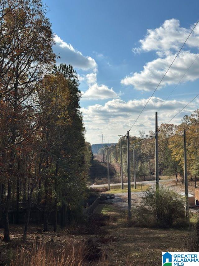 Homes for sale in Chelsea, AL | 113 Crest Dr, Chelsea, AL 35043 | MLS# 21404308