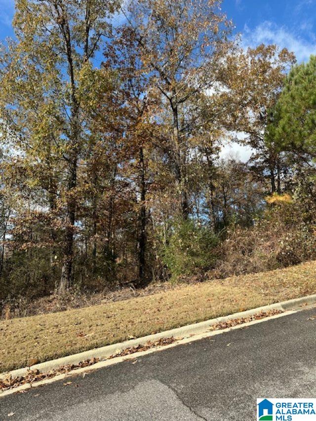 Homes for sale in Chelsea, AL | 113 Crest Dr, Chelsea, AL 35043 | MLS# 21404308