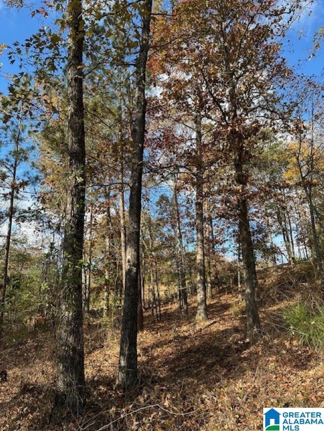 Homes for sale in Chelsea, AL | 113 Crest Dr, Chelsea, AL 35043 | MLS# 21404308