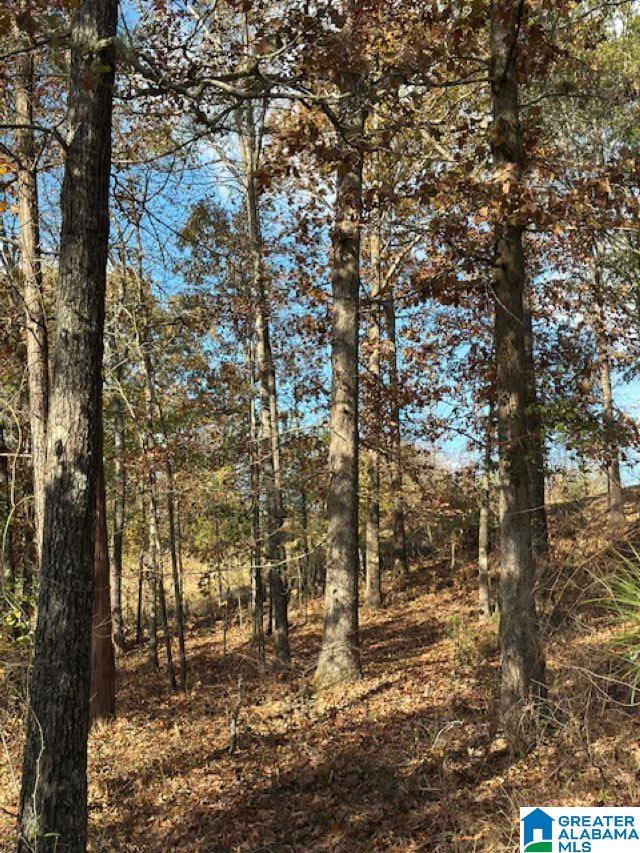 Homes for sale in Chelsea, AL | 113 Crest Dr, Chelsea, AL 35043 | MLS# 21404308