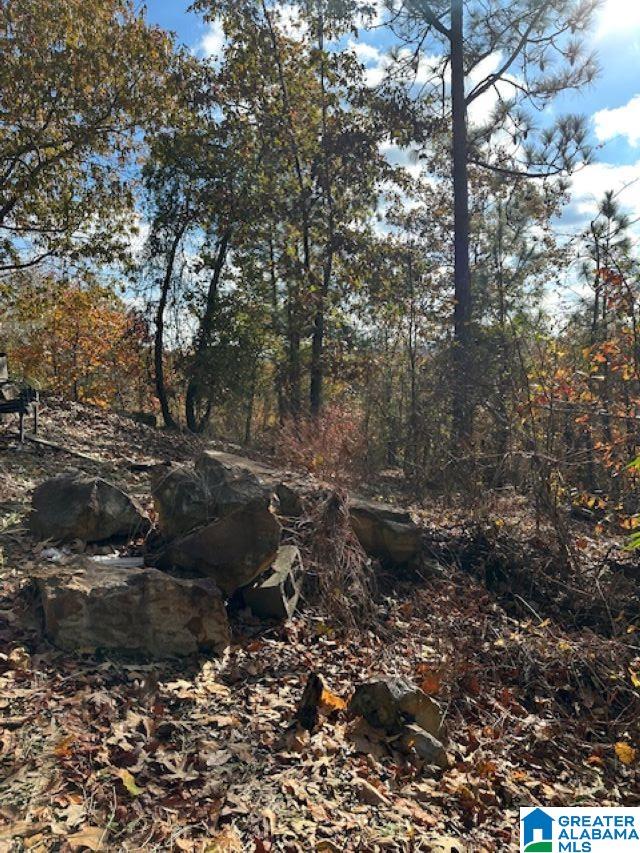 Homes for sale in Chelsea, AL | 121 Crest Dr, Chelsea, AL 35043 | MLS# 21404309