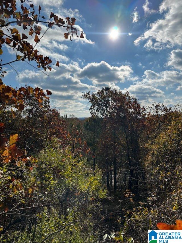 Homes for sale in Chelsea, AL | 121 Crest Dr, Chelsea, AL 35043 | MLS# 21404309