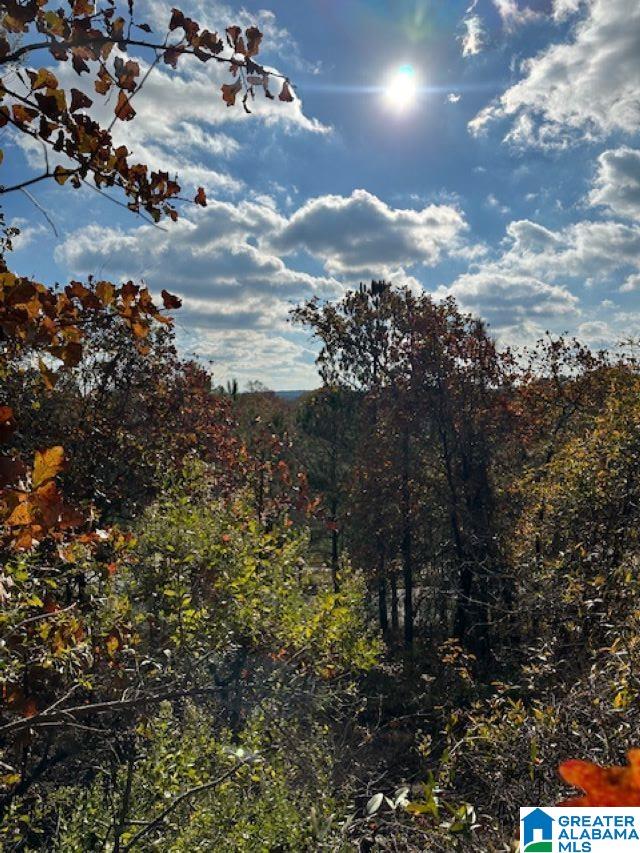 Homes for sale in Chelsea, AL | 121 Crest Dr, Chelsea, AL 35043 | MLS# 21404309