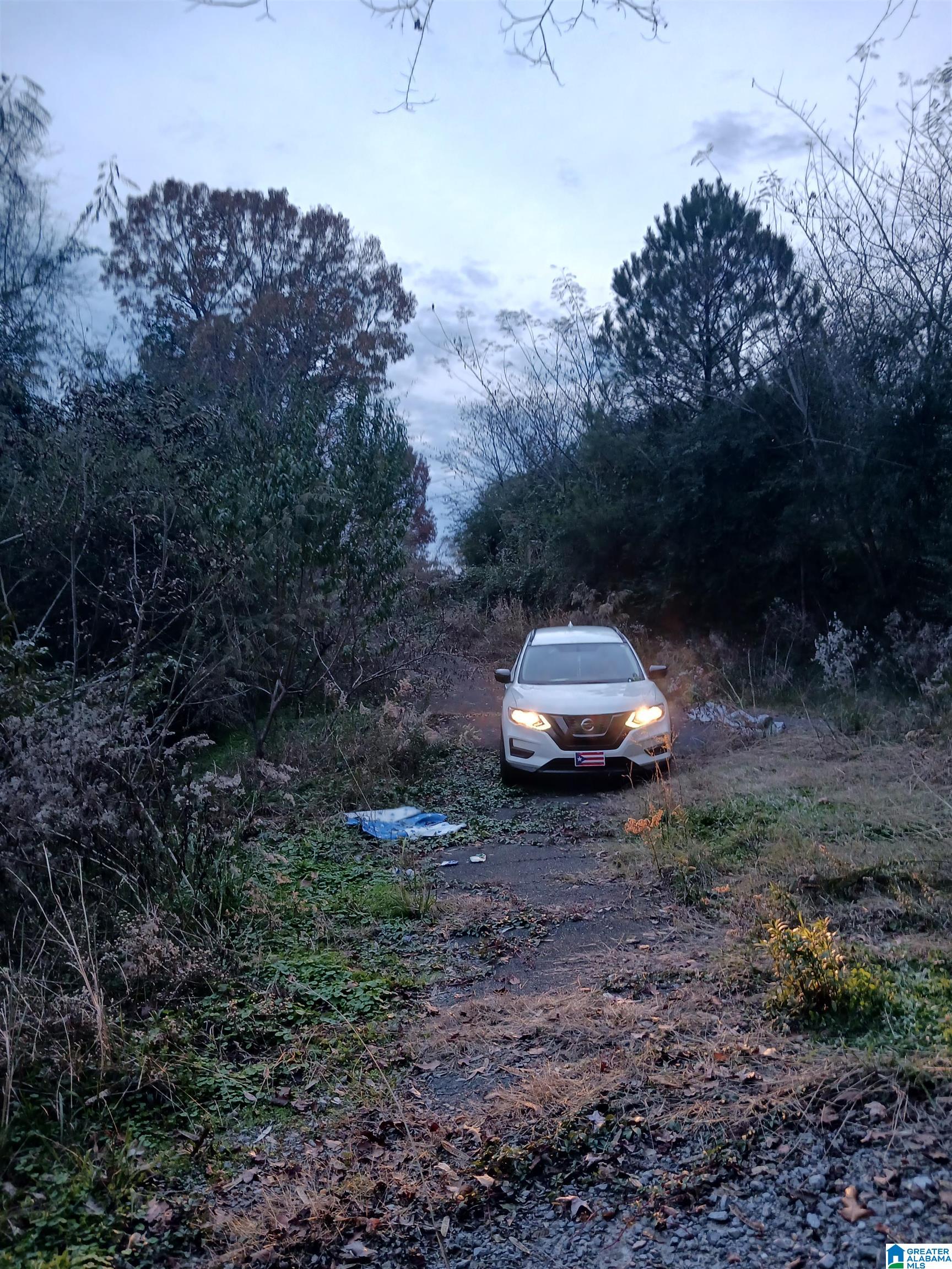 Homes for sale in Graysville, AL | 451 10Th Avenue Sw, Graysville, AL 35073 | MLS# 21404339