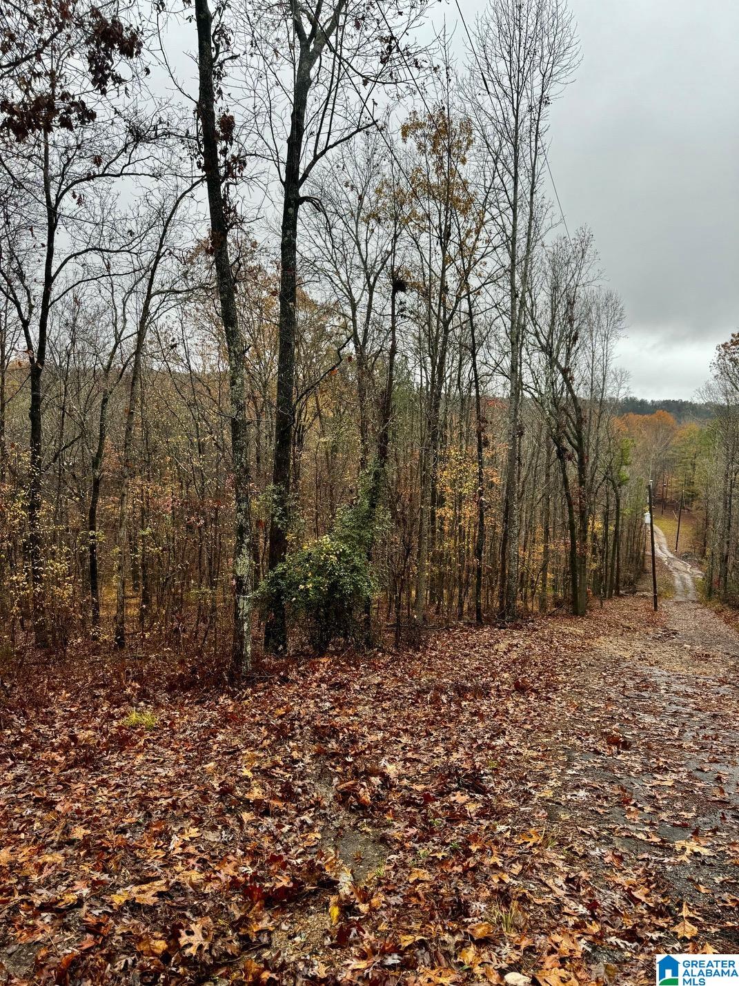 Homes for sale in Chelsea, AL | 117 Amore Lane, Chelsea, AL 35043 | MLS# 21404631