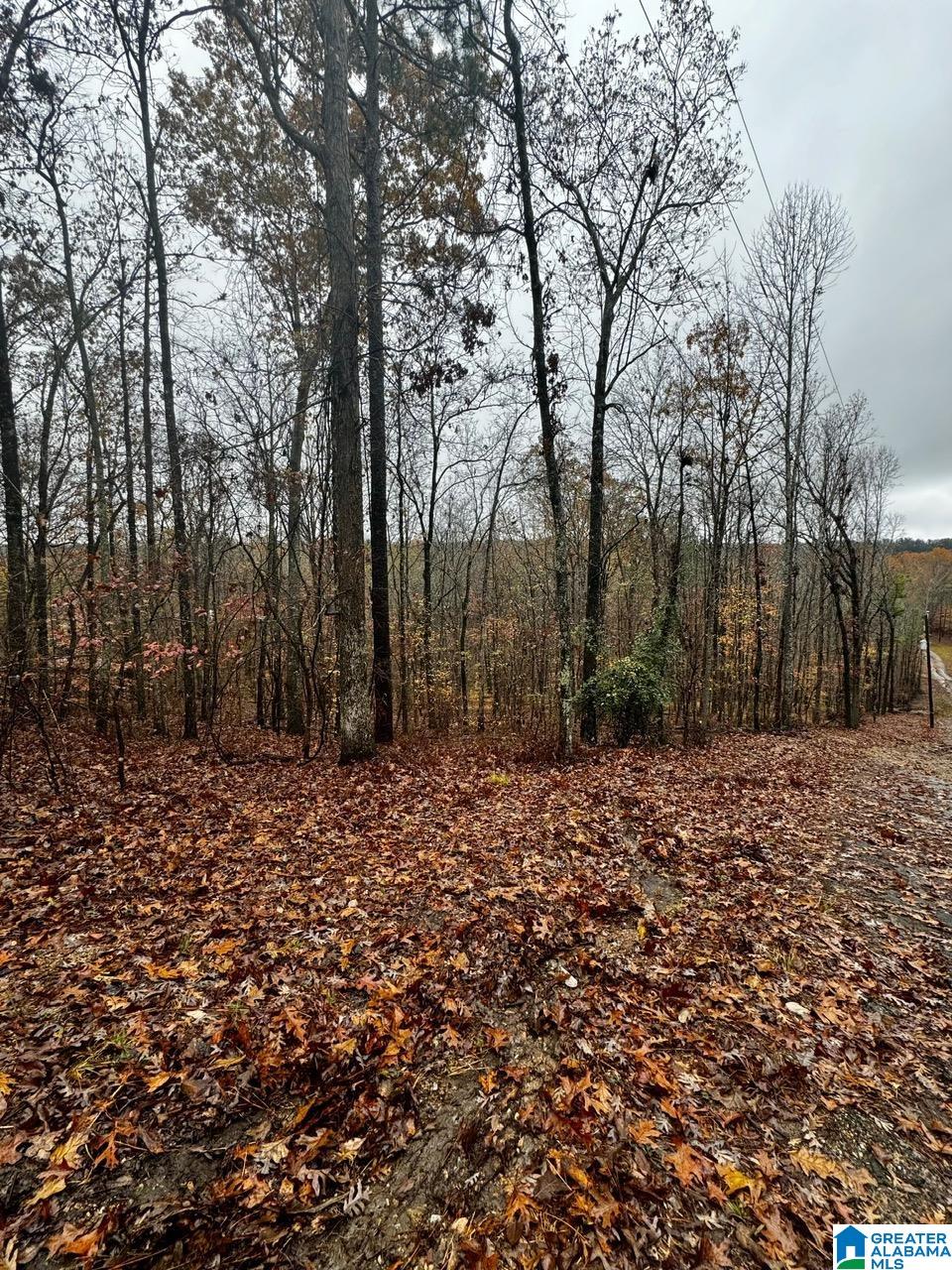 Homes for sale in Chelsea, AL | 117 Amore Lane, Chelsea, AL 35043 | MLS# 21404631