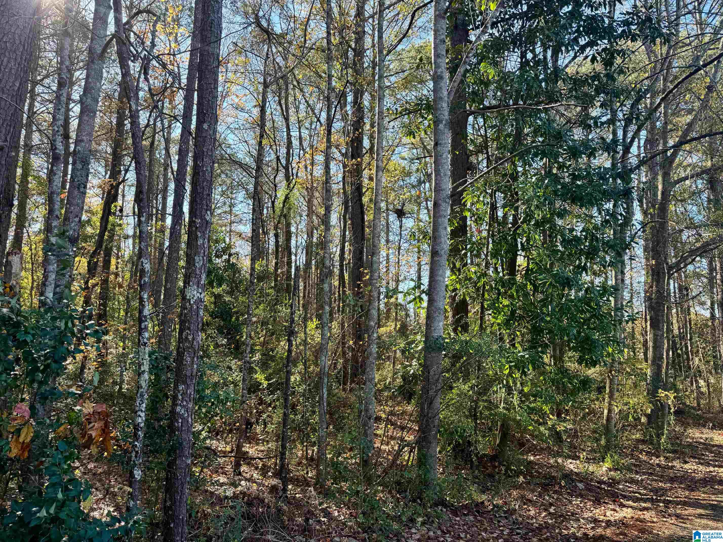 Lot 7 LANE AVENUE