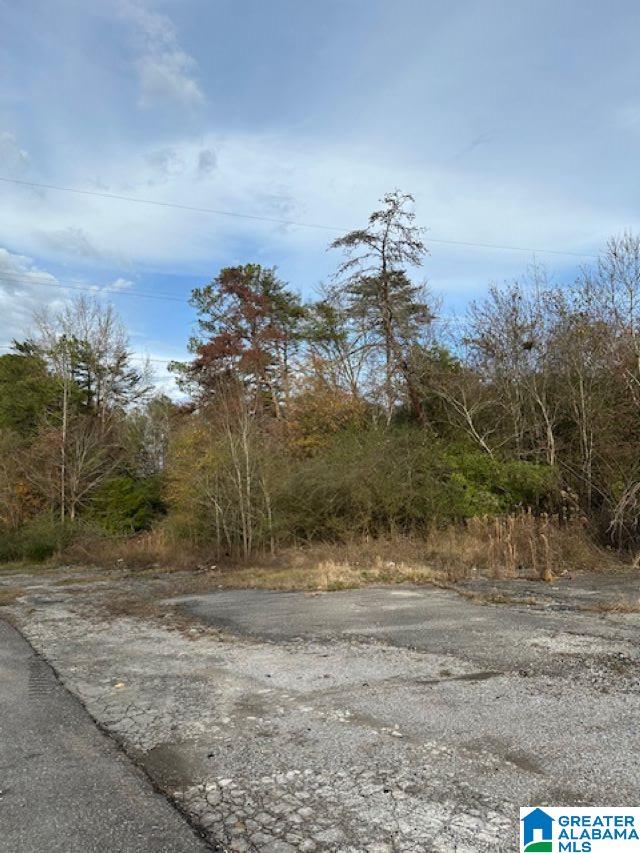 Homes for sale in Wilsonville, AL | 310 Oakland Avenue, Wilsonville, AL 35186 | MLS# 21404922