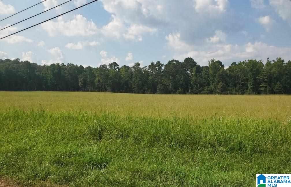 Homes for sale in Maylene, AL | 460 Fox Valley Farms Road, Maylene, AL 35114 | MLS# 21405271