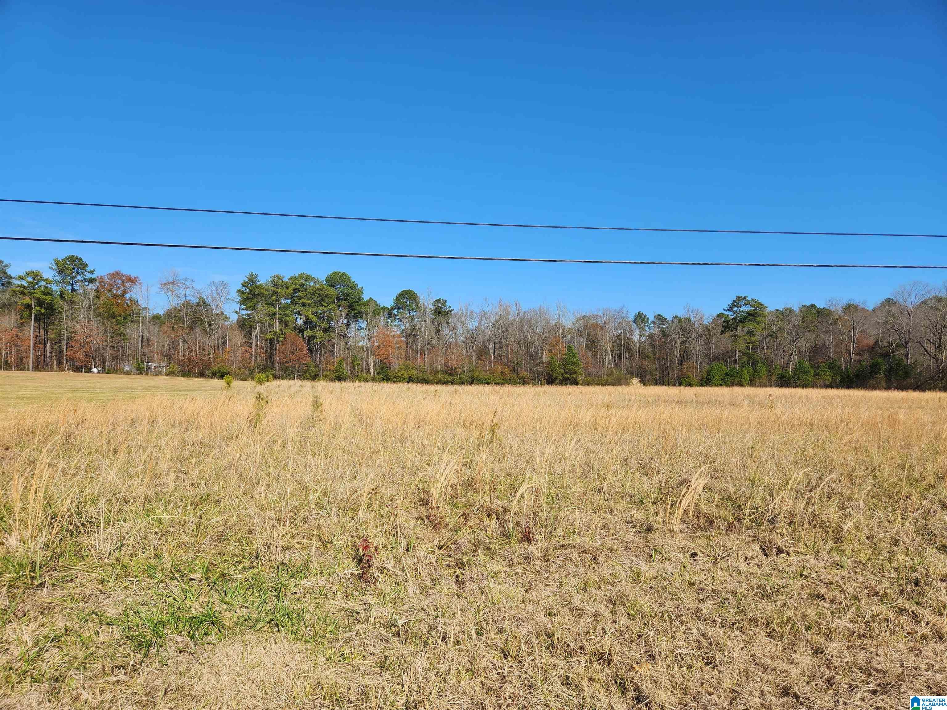 Homes for sale in Maylene, AL | 460 Fox Valley Farms Road, Maylene, AL 35114 | MLS# 21405271