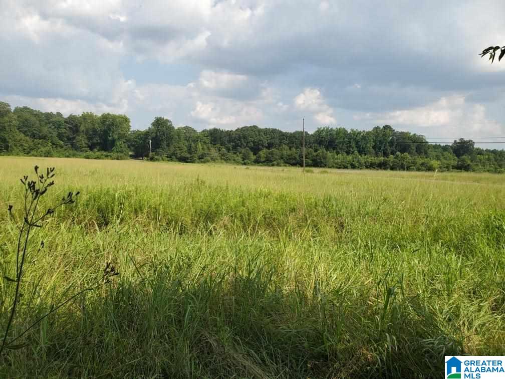 Homes for sale in Maylene, AL | 440 Fox Valley Farms Road, Maylene, AL 35114 | MLS# 21405272