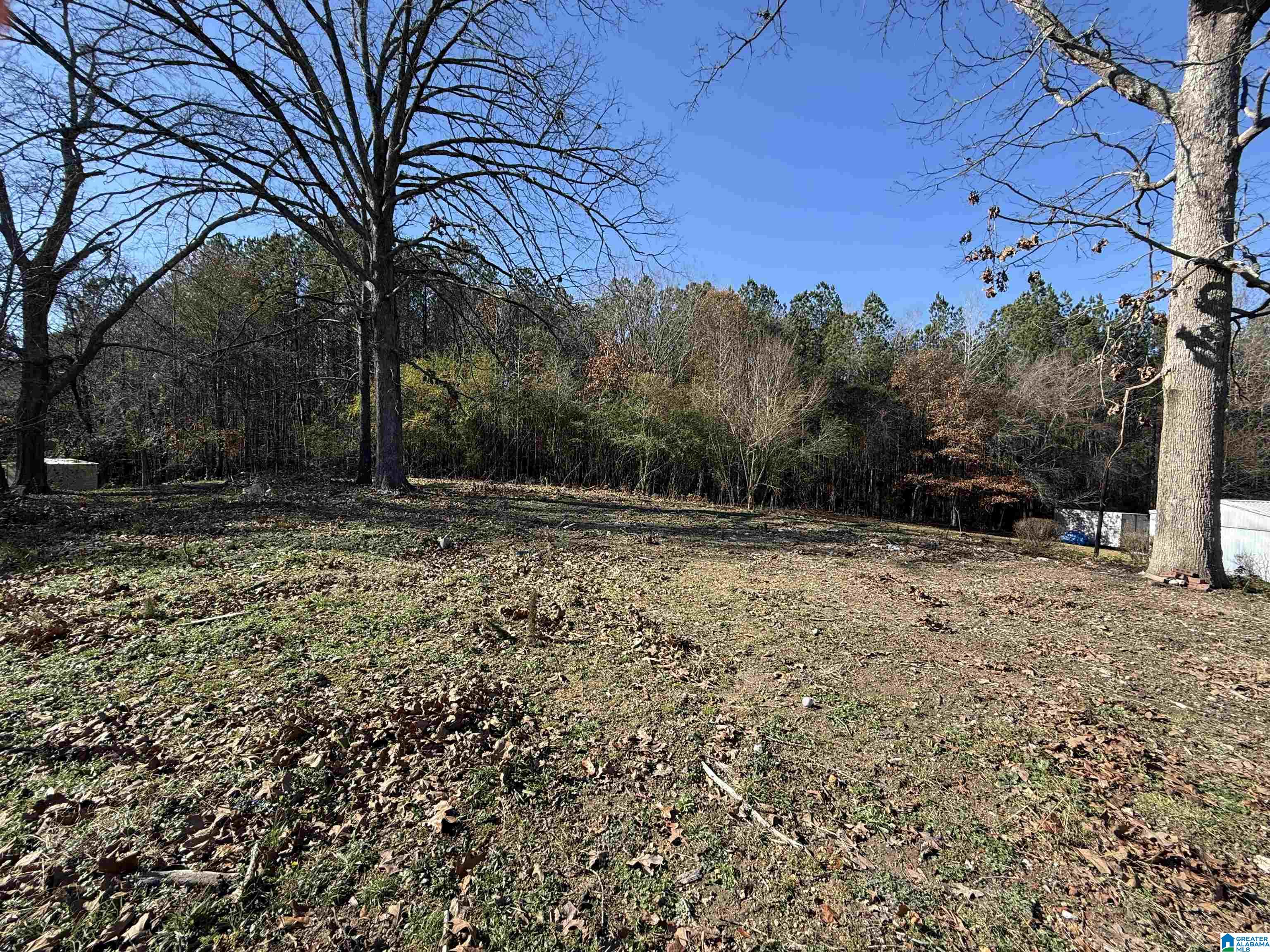 3223 ALLDREDGE LANE