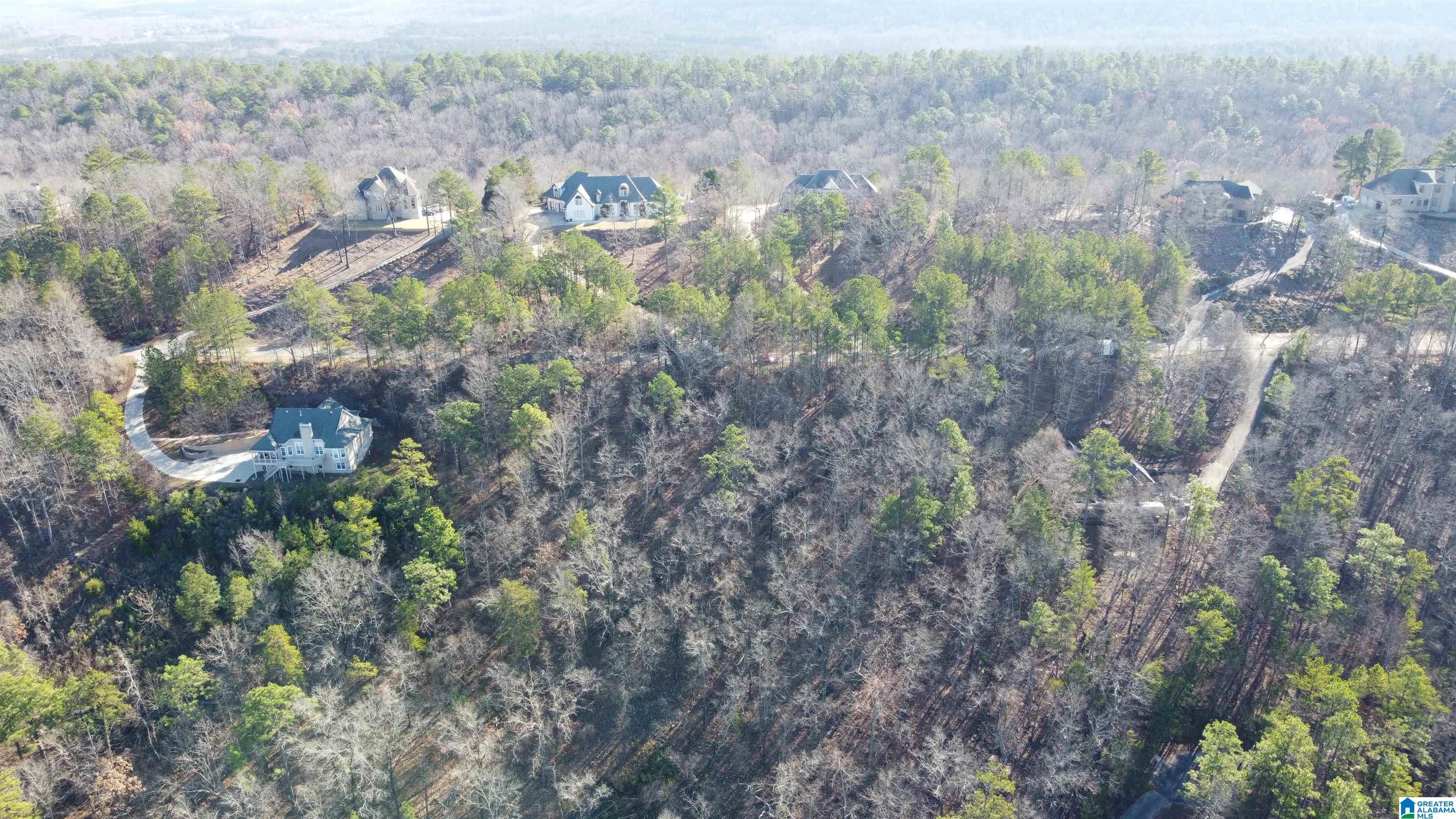 Homes for sale in Pelham, AL | 168 Kings Crest Lane, Pelham, AL 35124 | MLS# 21405665