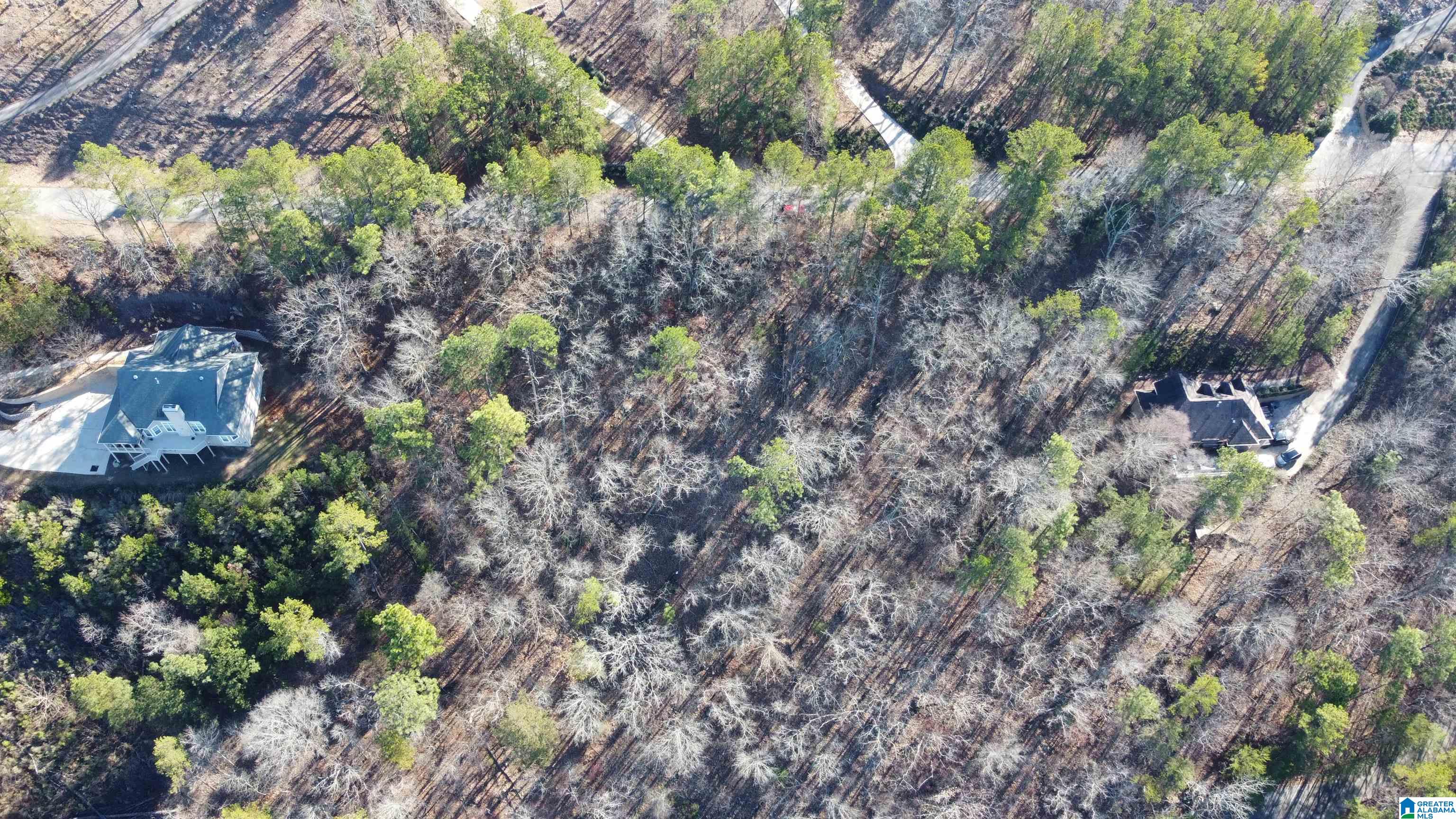 Homes for sale in Pelham, AL | 168 Kings Crest Lane, Pelham, AL 35124 | MLS# 21405665