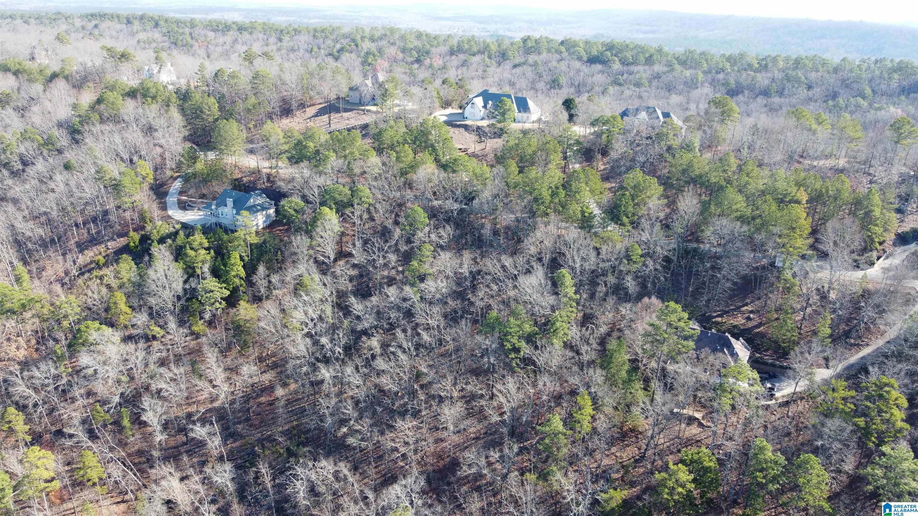 Homes for sale in Pelham, AL | 168 Kings Crest Lane, Pelham, AL 35124 | MLS# 21405665