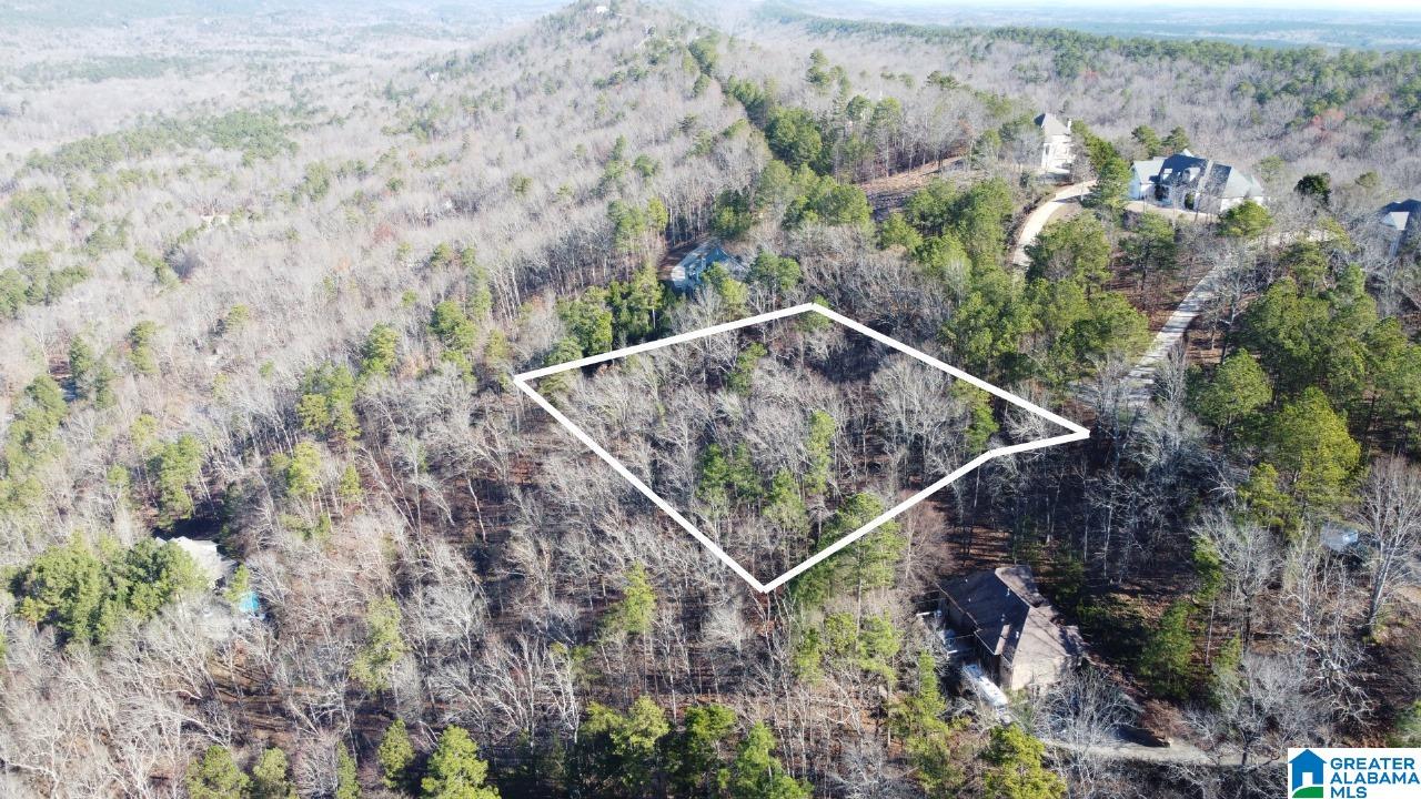 Homes for sale in Pelham, AL | 168 Kings Crest Lane, Pelham, AL 35124 | MLS# 21405665