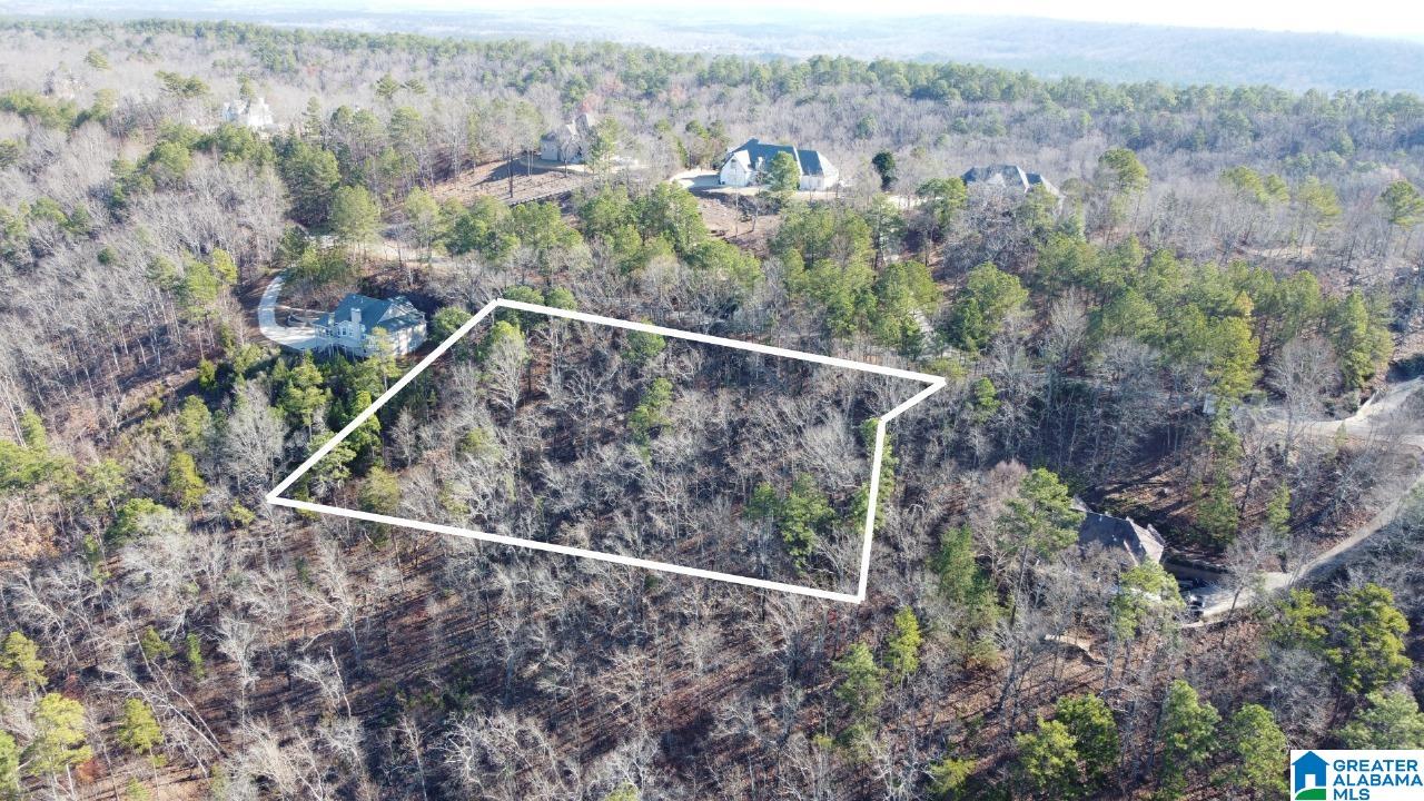 Homes for sale in Pelham, AL | 168 Kings Crest Lane, Pelham, AL 35124 | MLS# 21405665