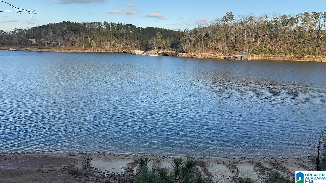 Homes for sale in Double Springs, AL | 0 Edgewater Bend Road, Double Springs, AL 35553 | MLS# 21405918