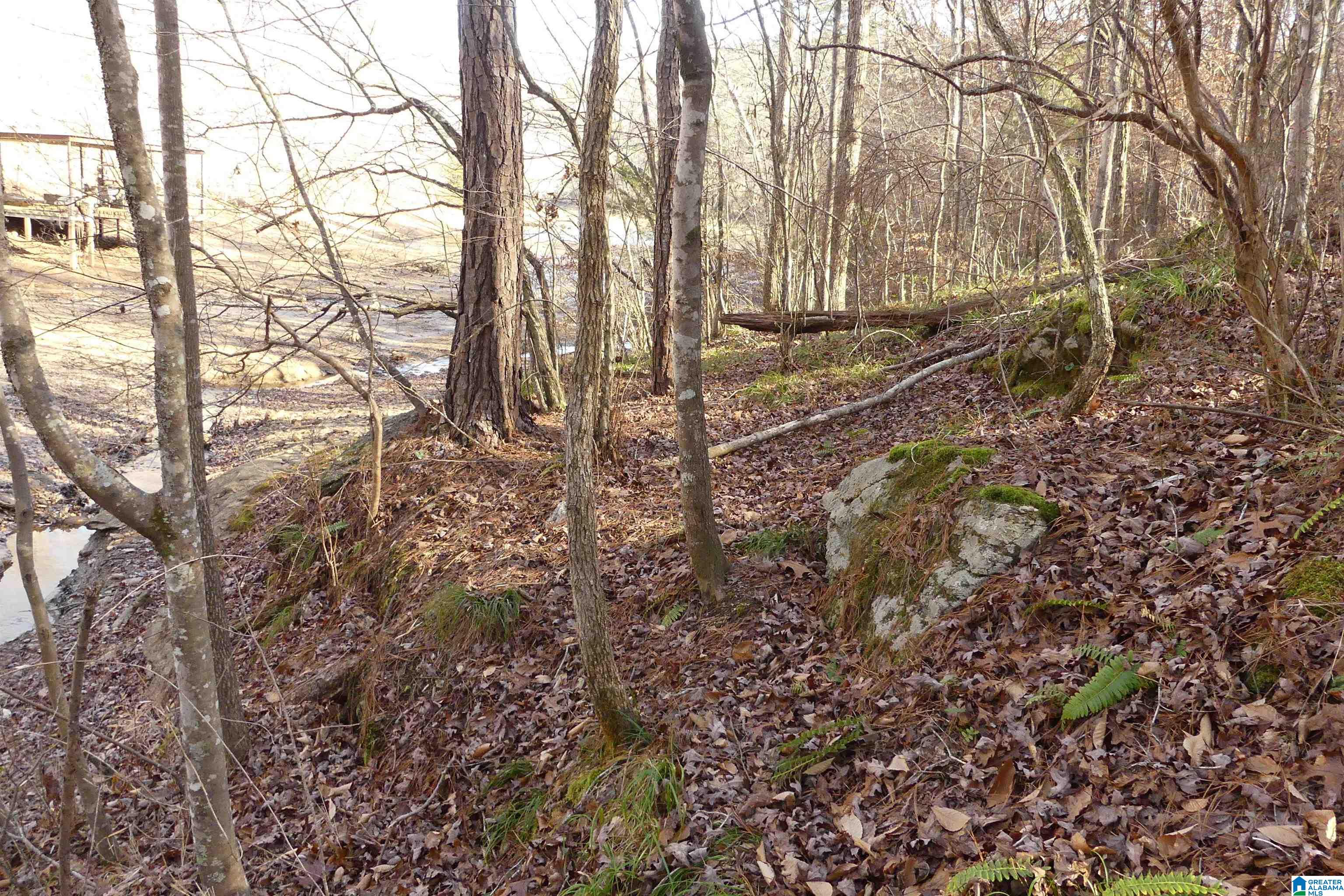 Homes for sale in Delta, AL | Lot 8 Harbour Point Dr, Delta, AL 36258 | MLS# 21406065