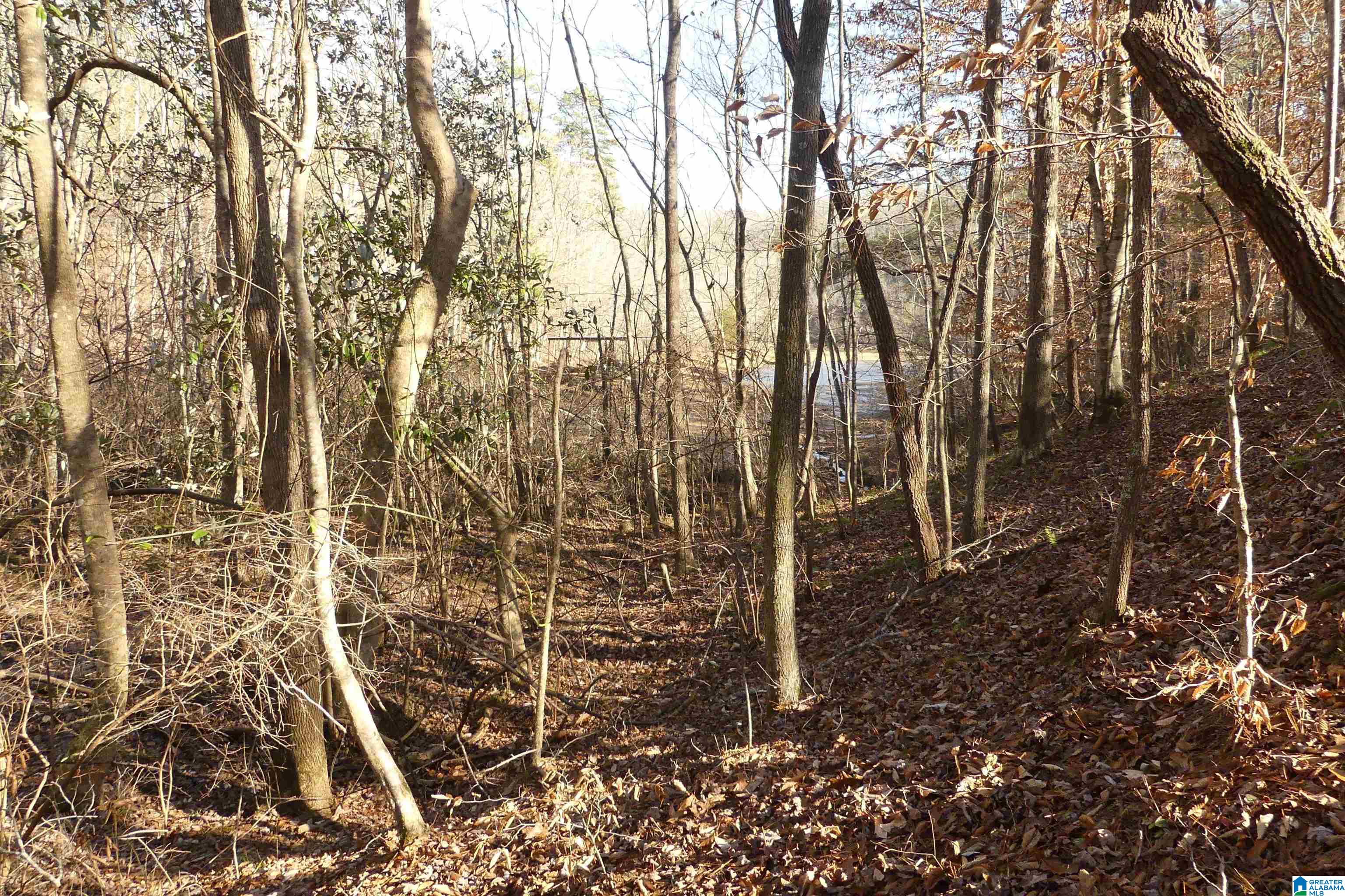 Homes for sale in Delta, AL | Lot 8 Harbour Point Dr, Delta, AL 36258 | MLS# 21406065