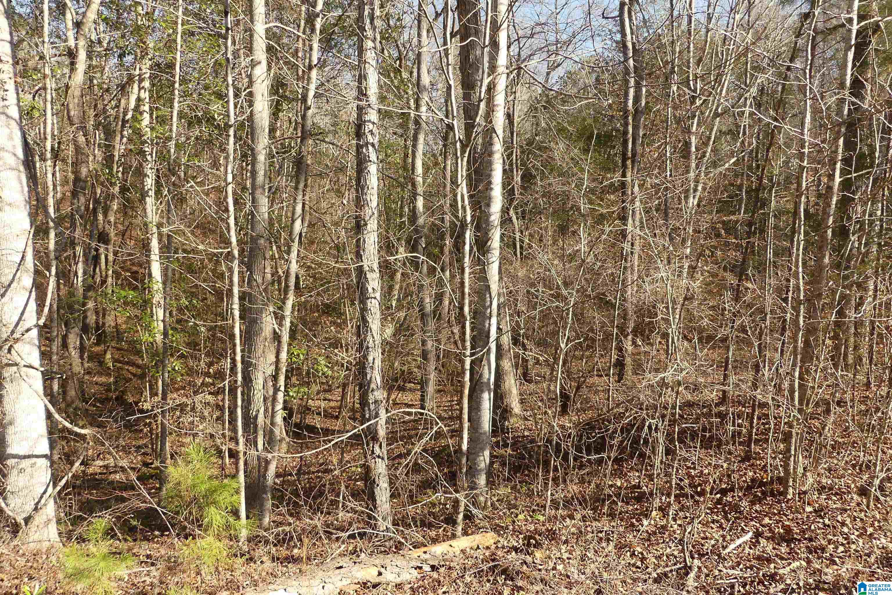 Homes for sale in Delta, AL | Lot 8 Harbour Point Dr, Delta, AL 36258 | MLS# 21406065