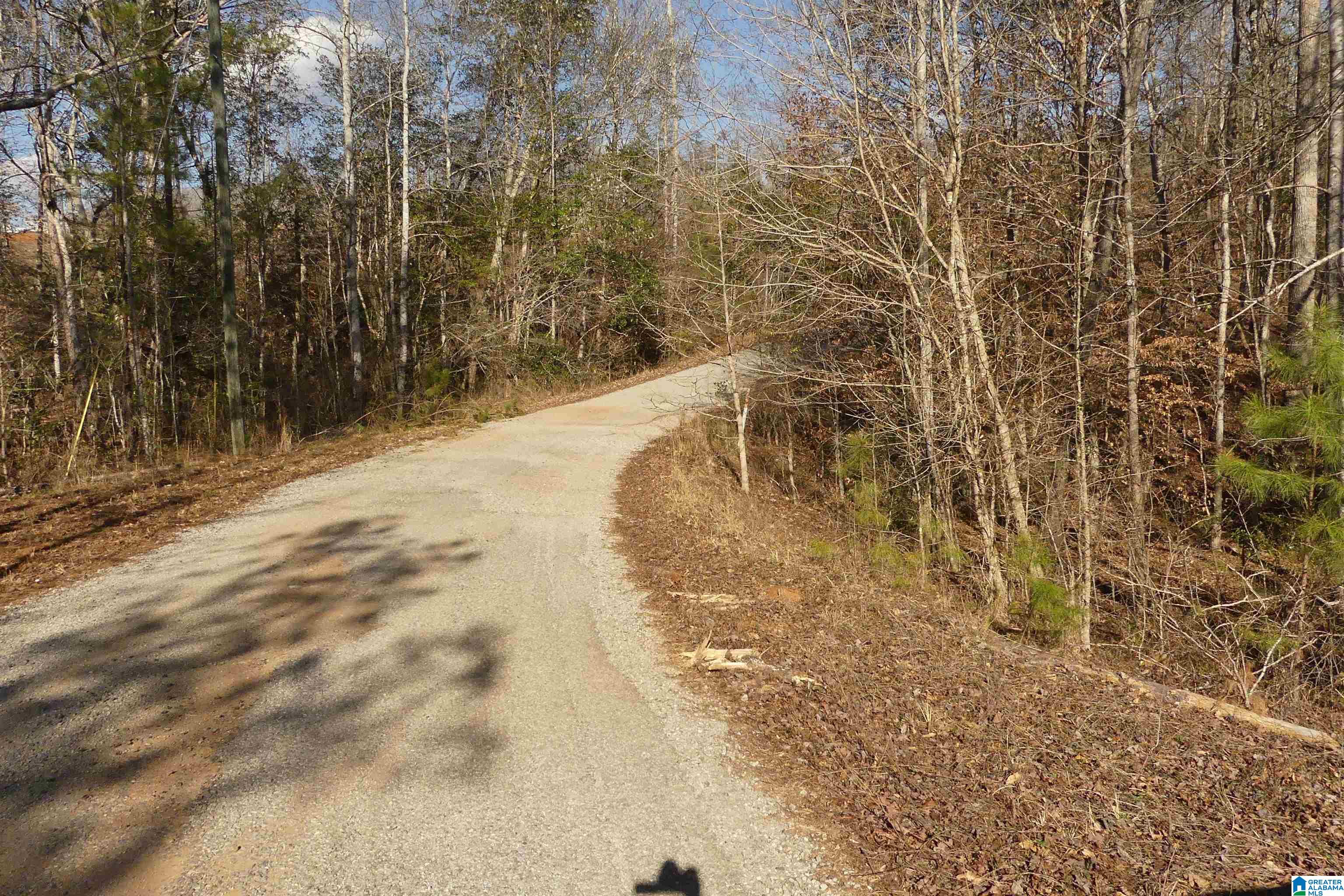 Homes for sale in Delta, AL | Lot 8 Harbour Point Dr, Delta, AL 36258 | MLS# 21406065