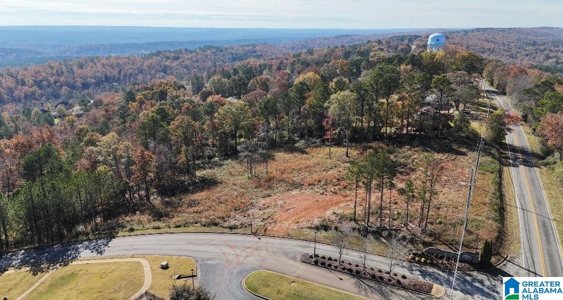 Homes for sale in Helena, AL | 4915 S Shades Crest Road, Helena, AL 35022 | MLS# 21406412