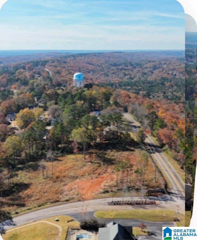 Homes for sale in Helena, AL | 4915 S Shades Crest Road, Helena, AL 35022 | MLS# 21406412