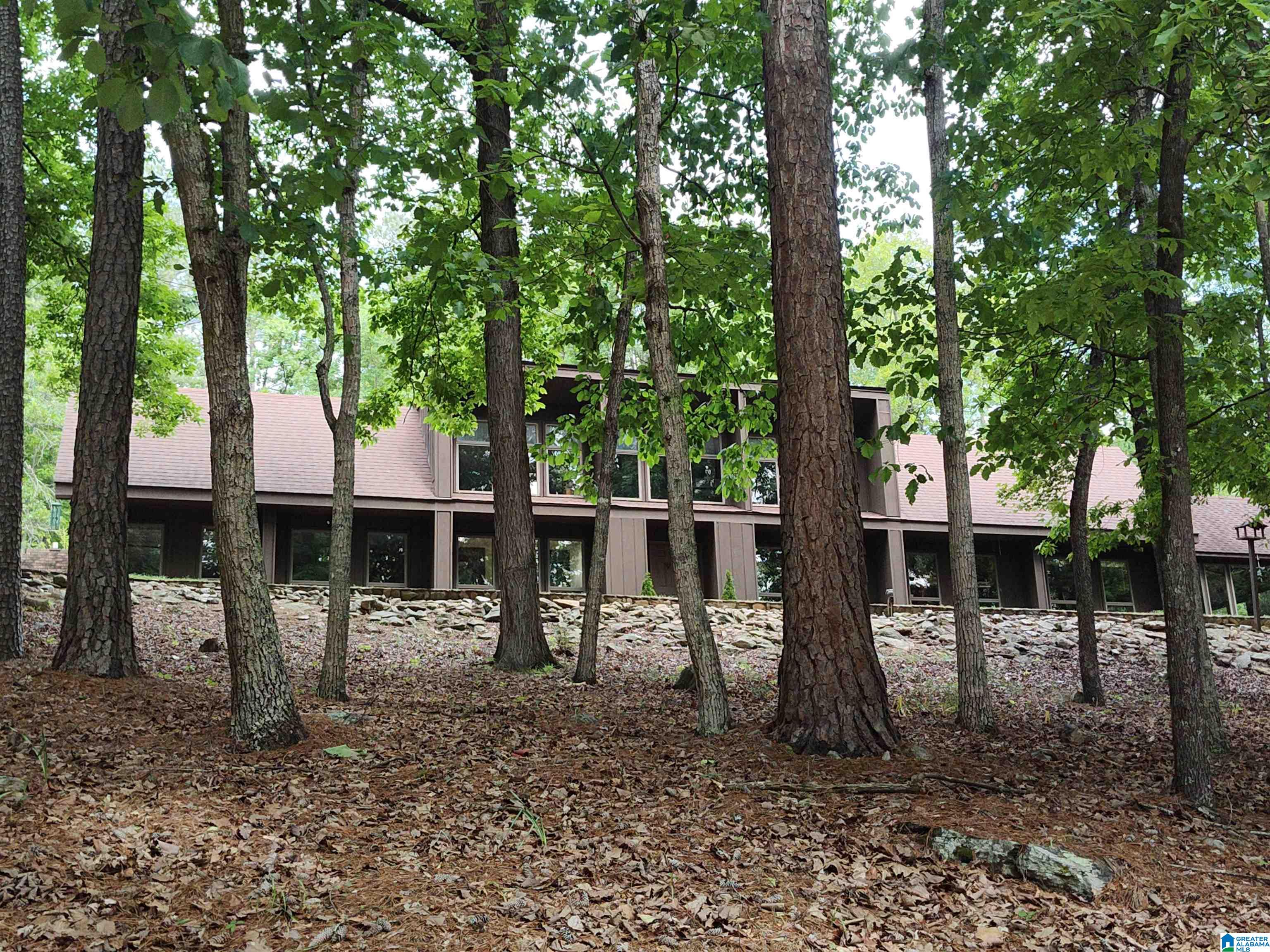 Great, one of a kind custom home in Sylacauga! This is a passive solar home,built against the mountain, with 3 bedroom and 2 full baths, plus an extra bedroom upstairs or office. Relax in the full glass sunroom, overlooking beautiful wood! Hardwood floors, a beautiful fireplace, granite countertops, 2 car garage are just some of the amenities of this beautiful home!