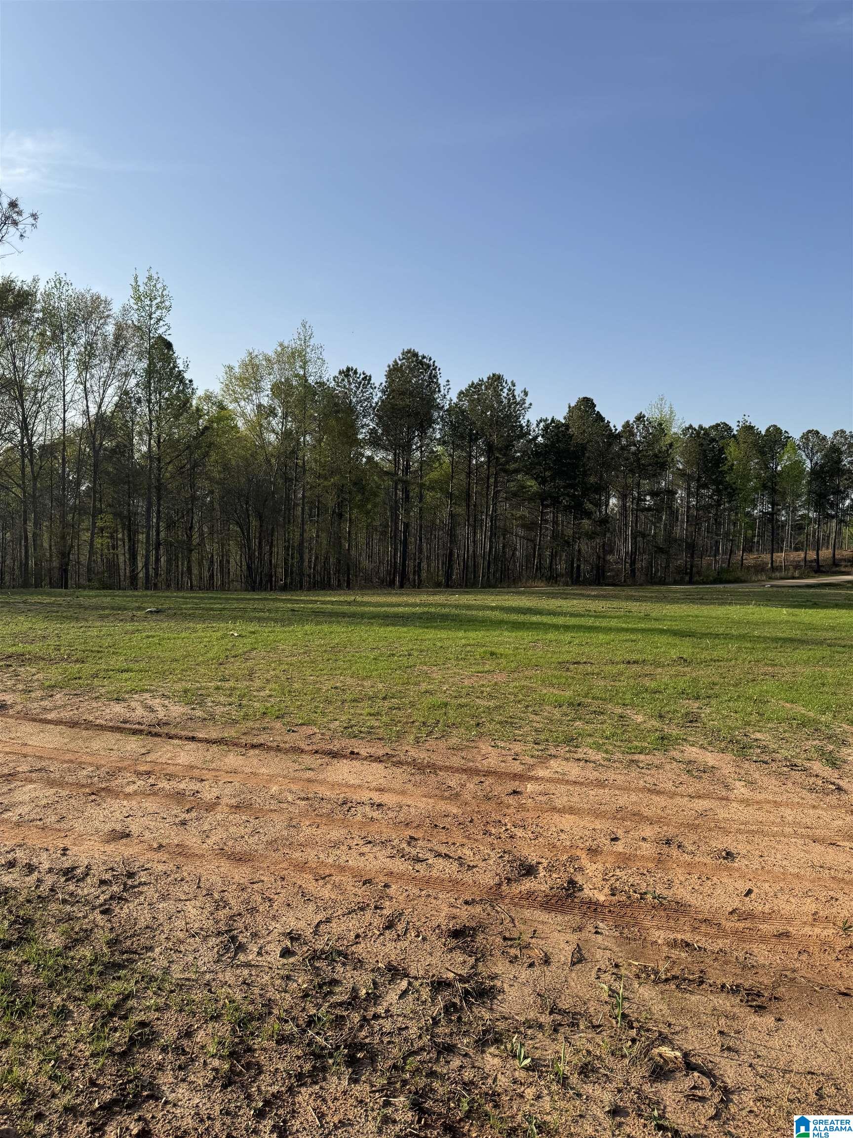 10+/- Acres PEACE OF MIND DRIVE