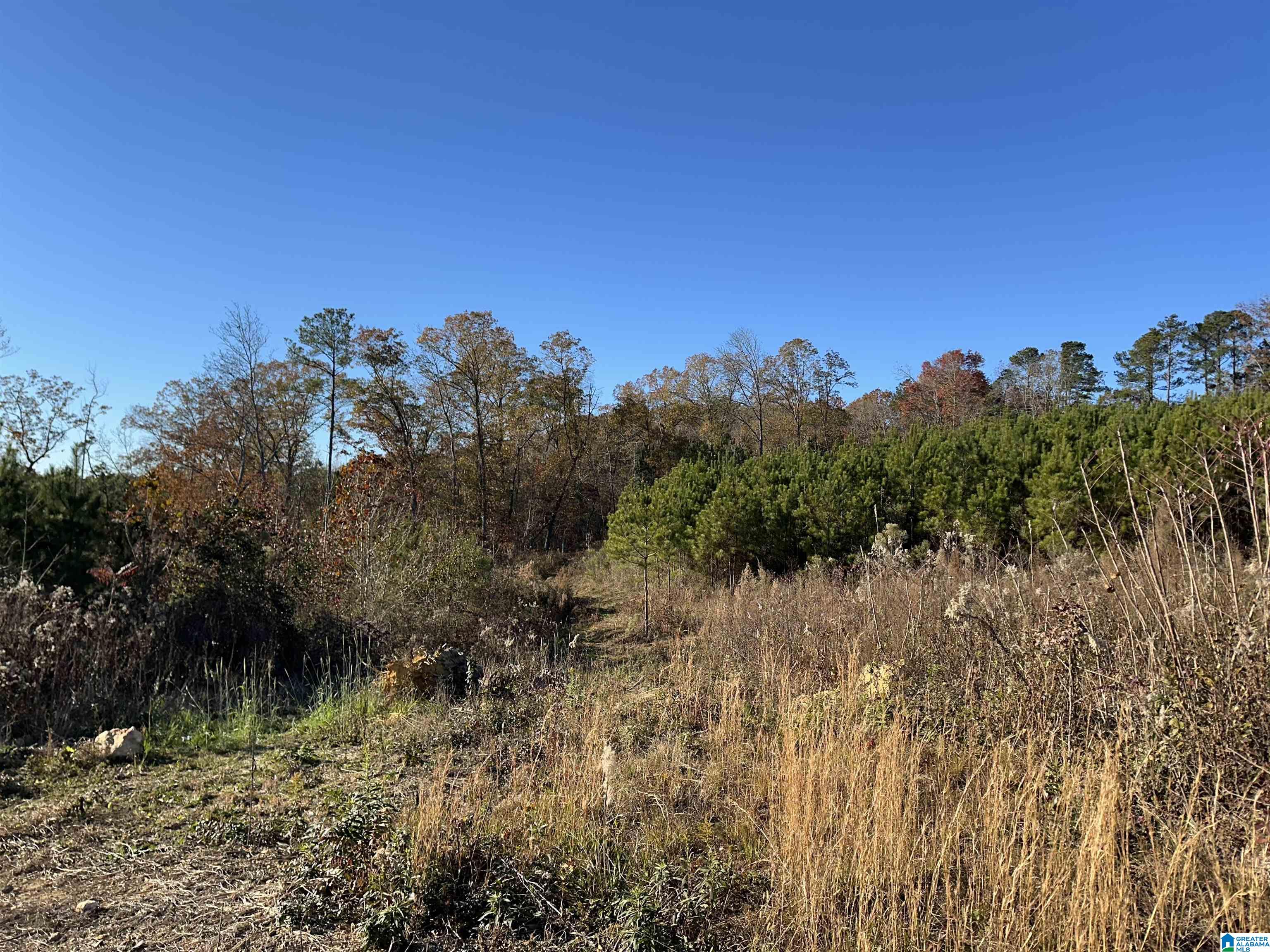 Homes for sale in Wilsonville, AL | 0 Industrial Park Dr, Wilsonville, AL 35186 | MLS# 21406649