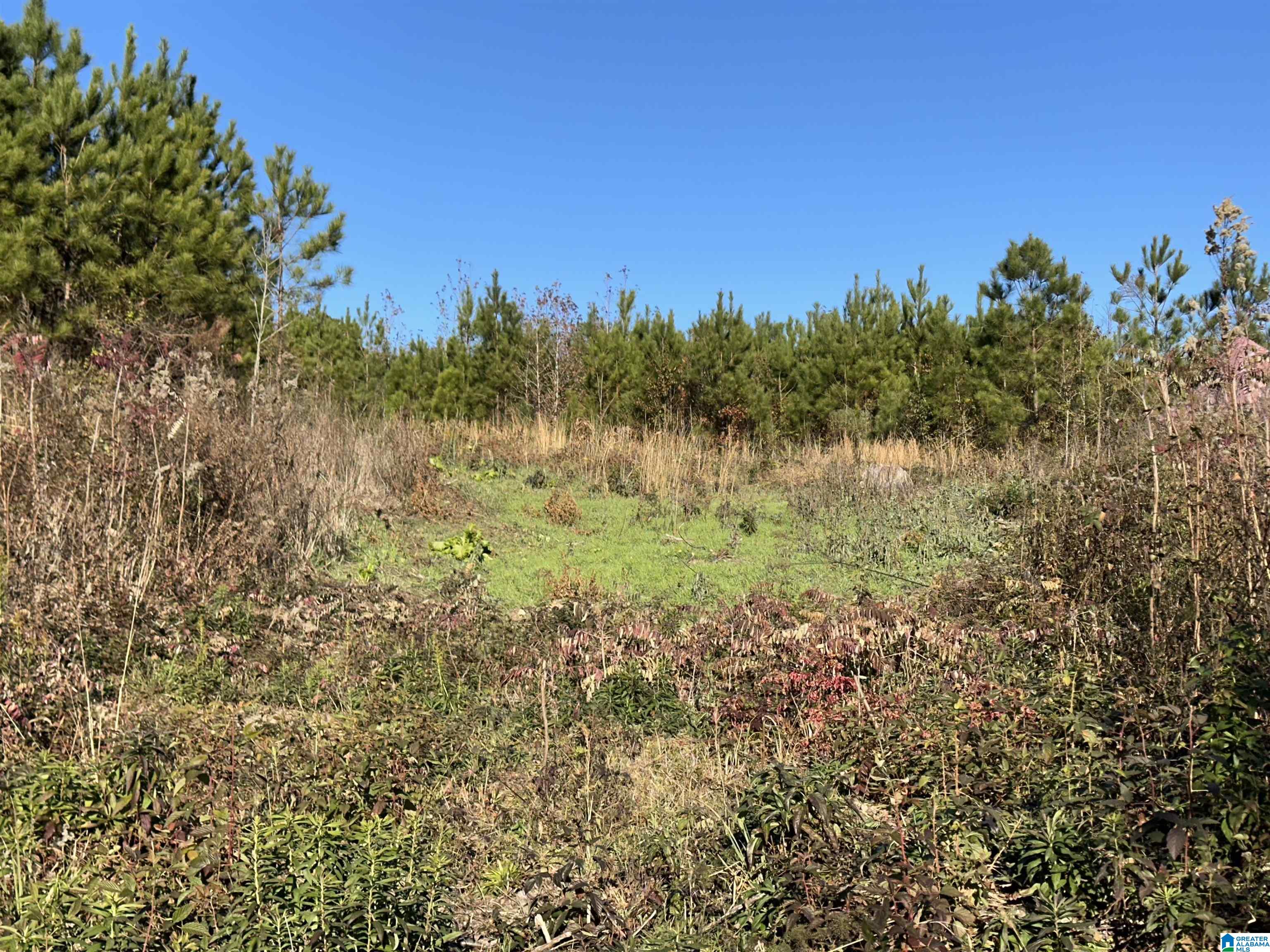 Homes for sale in Wilsonville, AL | 0 Industrial Park Dr, Wilsonville, AL 35186 | MLS# 21406649