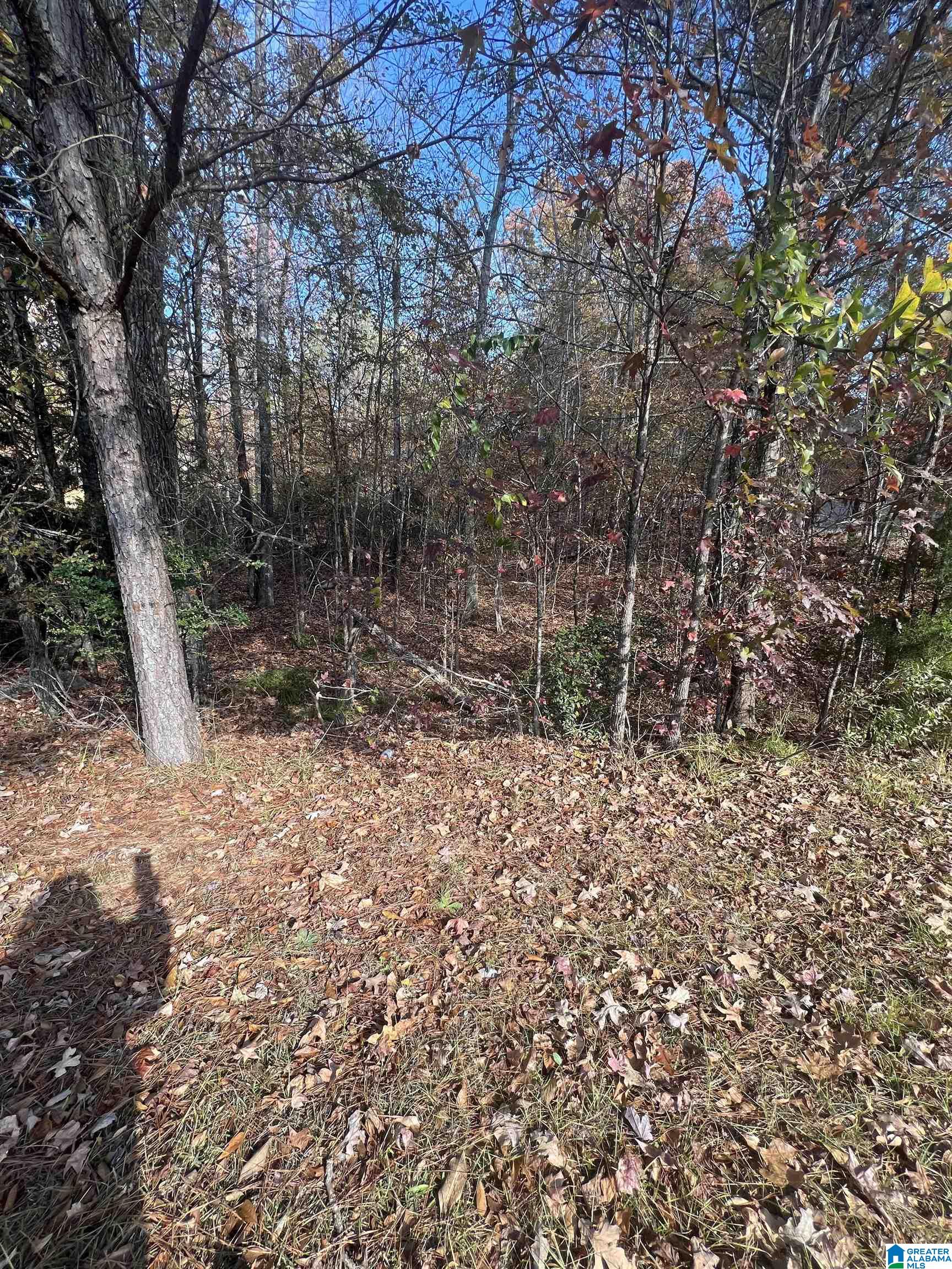 Homes for sale in Alabaster, AL | 119 Walking Horse Trace, Alabaster, AL 35007 | MLS# 21406721