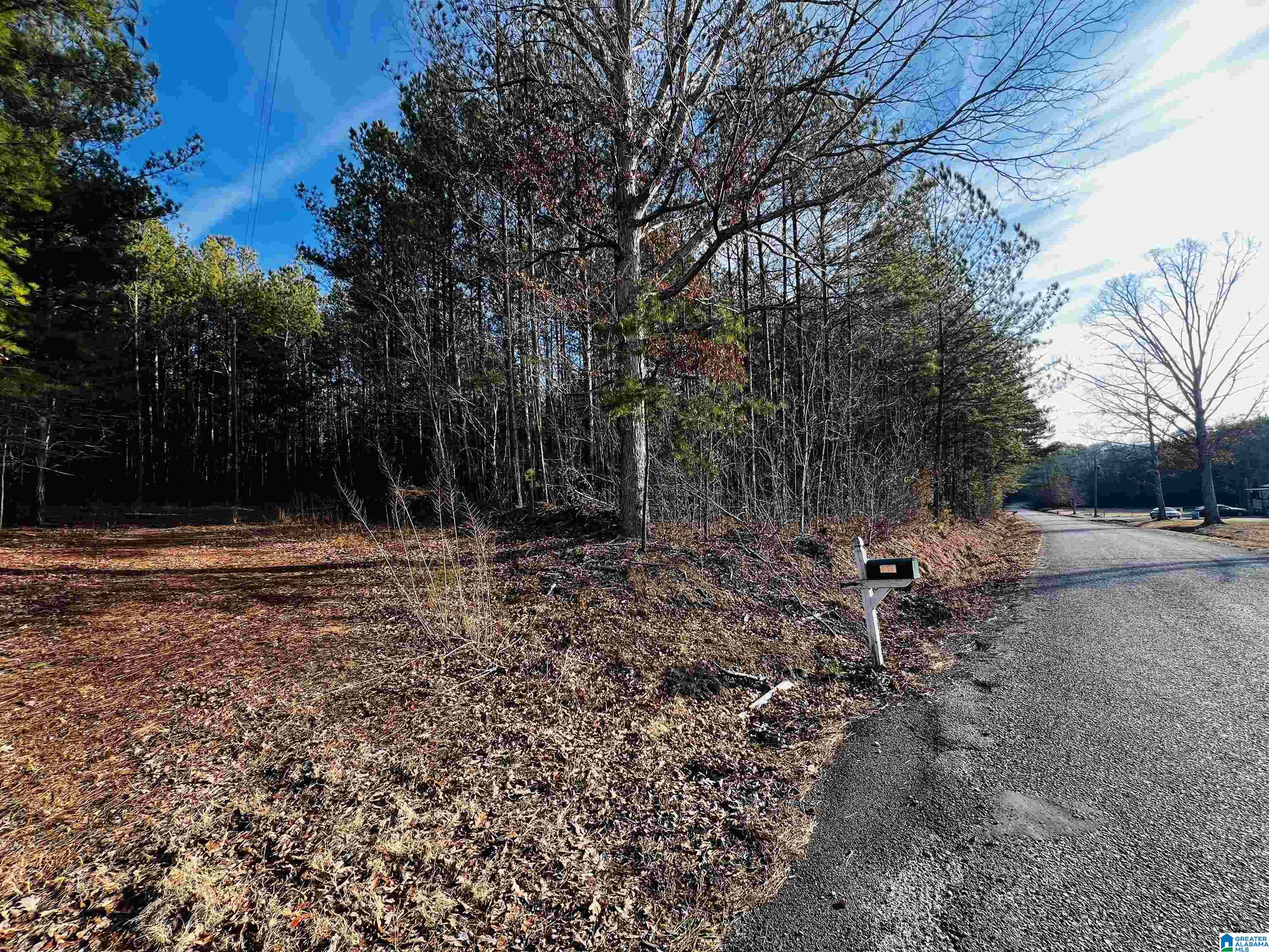 0 OLD PIEDMONT GADSDEN HIGHWAY