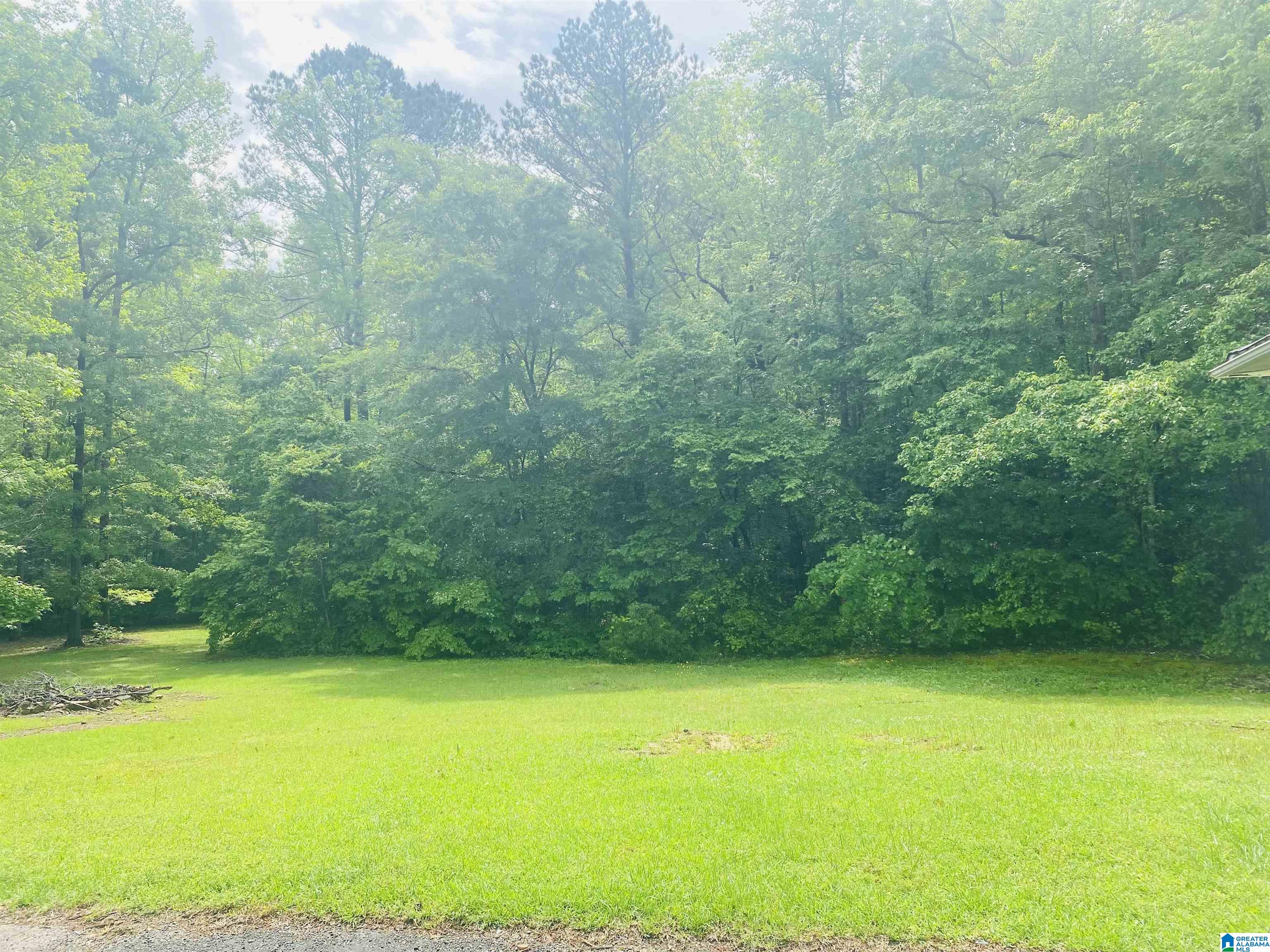 Homes for sale in West Blocton, AL | 2590 Camp Branch Road, West Blocton, AL 35184 | MLS# 21406866