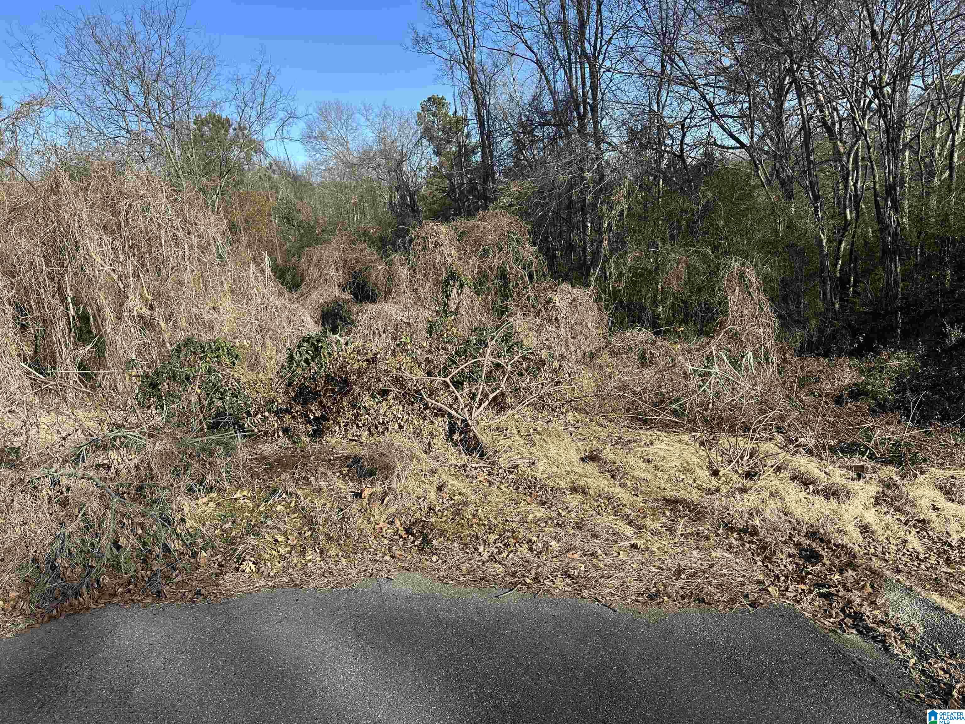 Homes for sale in Fultondale, AL | 3312 Carousel Dr, Fultondale, AL 35068 | MLS# 21406997