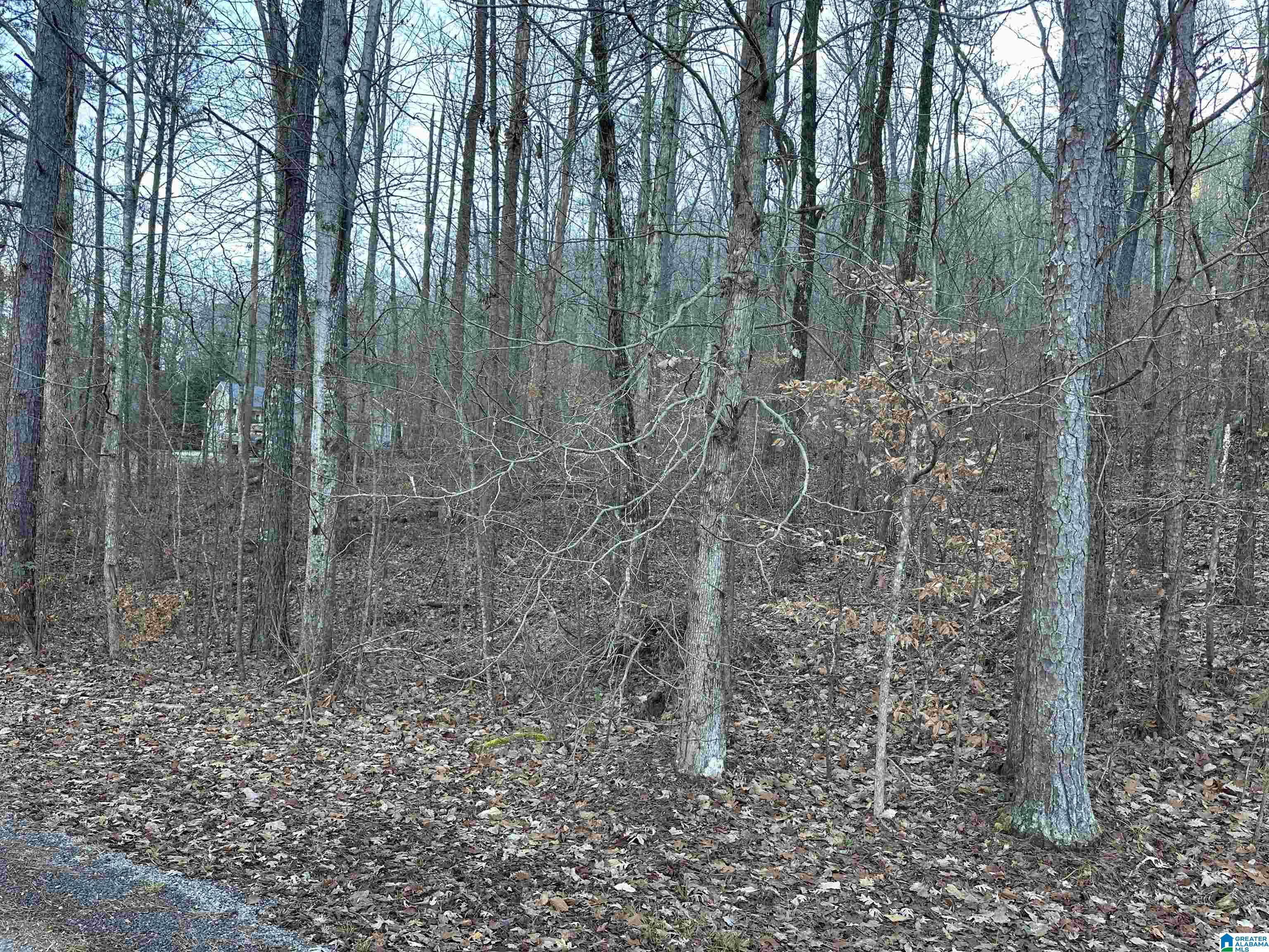 Homes for sale in Warrior, AL | 0 Valley Lane, Warrior, AL 35180 | MLS# 21407001