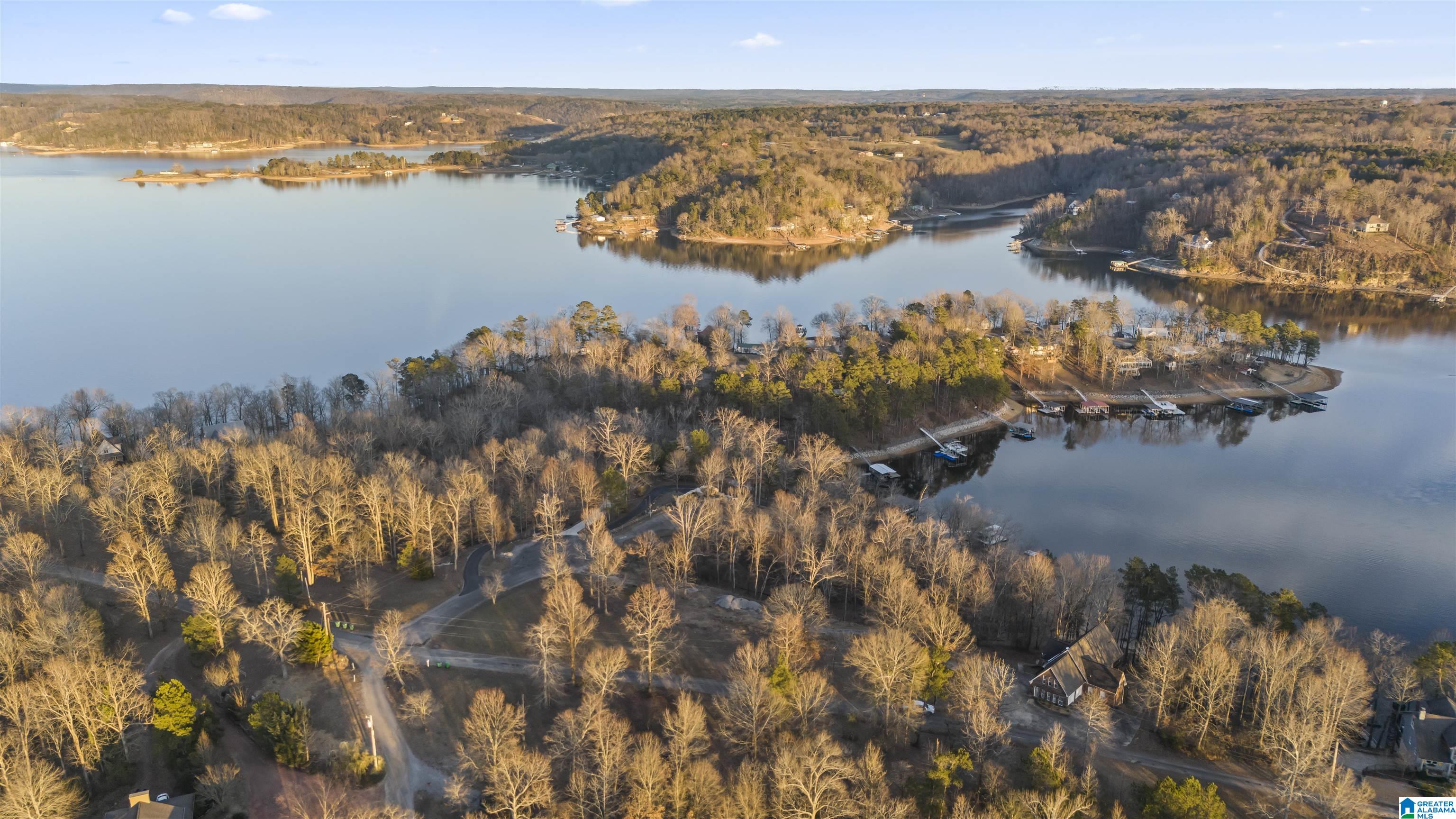 Homes for sale in Crane Hill, AL | 2221 County Road 870, Crane Hill, AL 35053 | MLS# 21407096