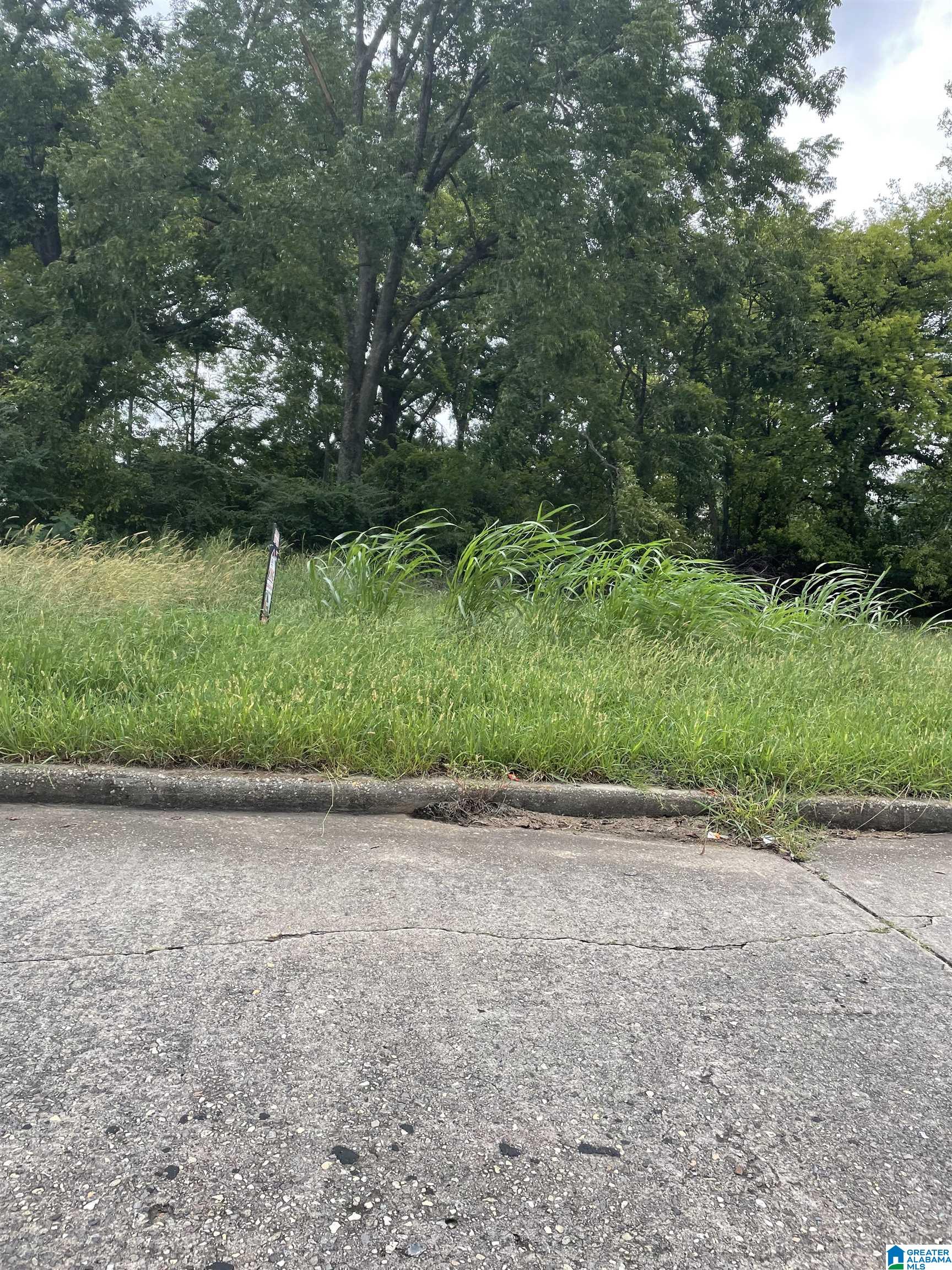 0 LUALLEN DRIVE