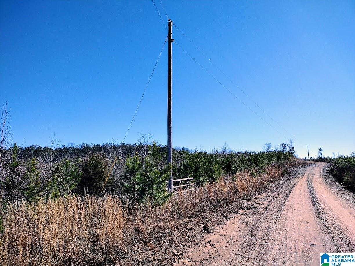 623 COUNTY ROAD 704