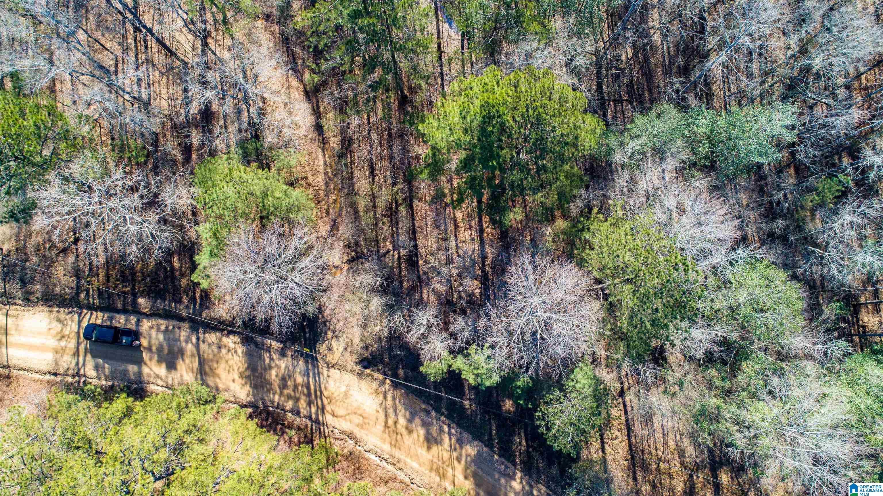 405 COUNTY ROAD 118