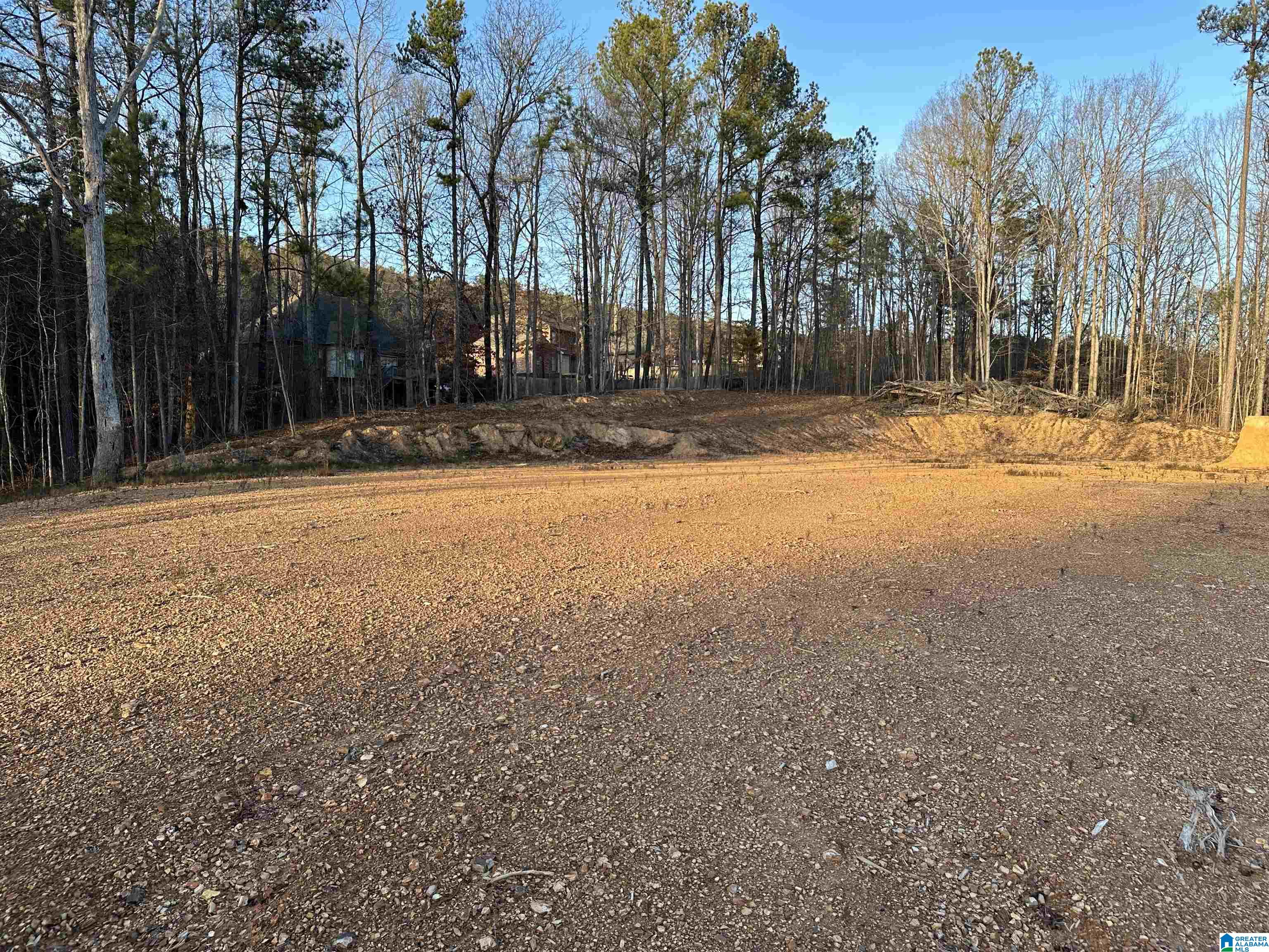 468 BENT CREEK TRACE