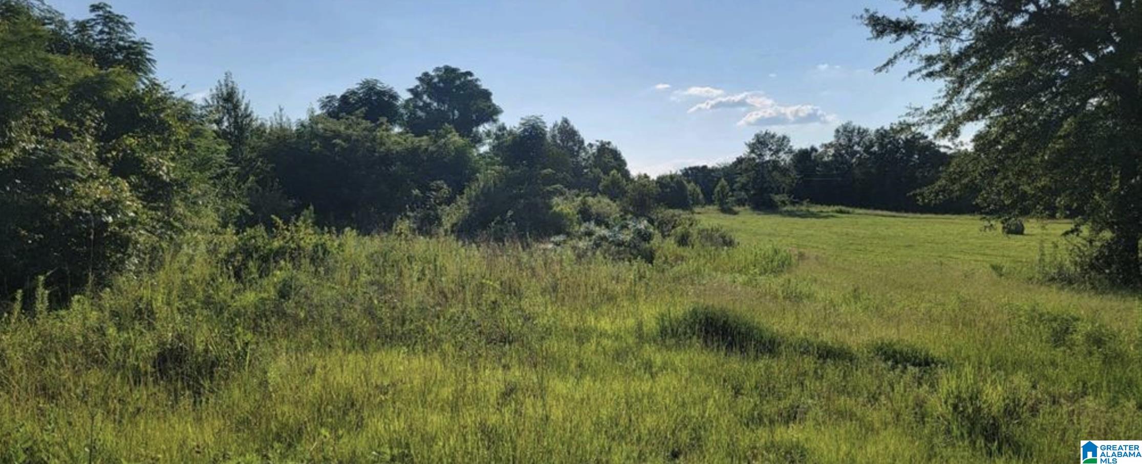 963 COUNTY ROAD 351