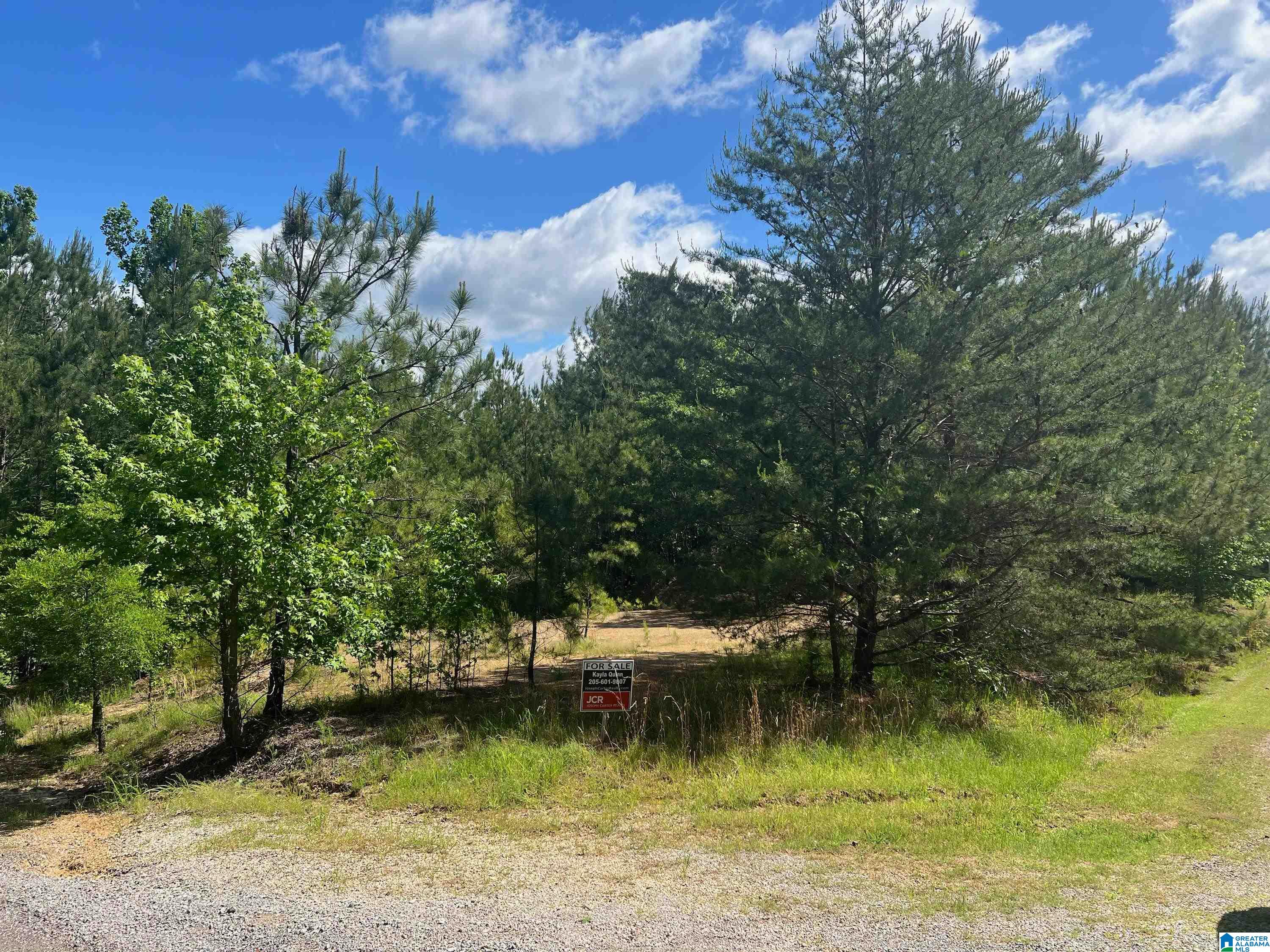 Homes for sale in Quinton, AL | Deer Dr, Quinton, AL 35130 | MLS# 21407801