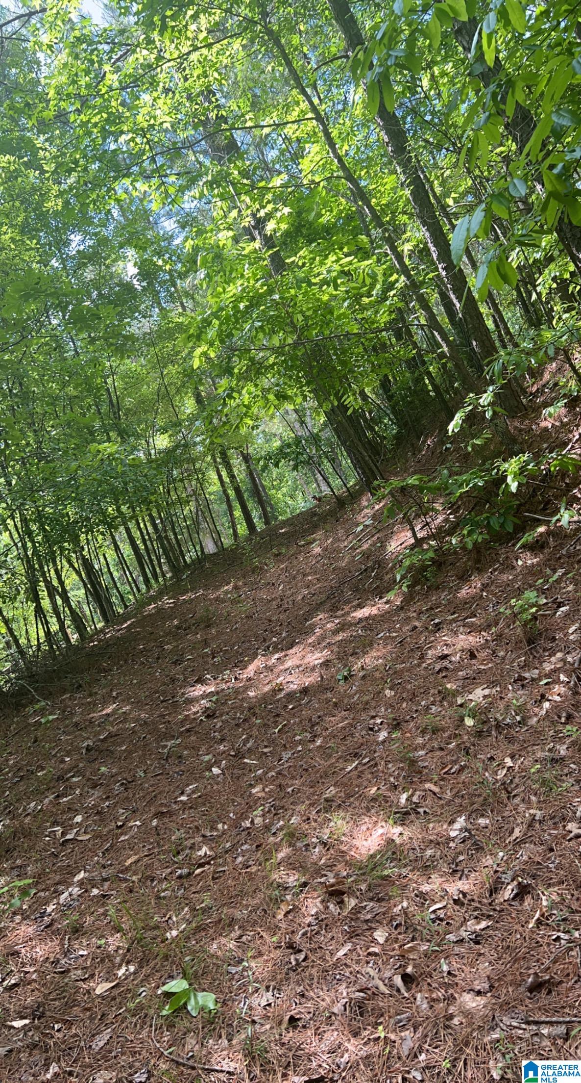 Homes for sale in Quinton, AL | Deer Dr, Quinton, AL 35130 | MLS# 21407801