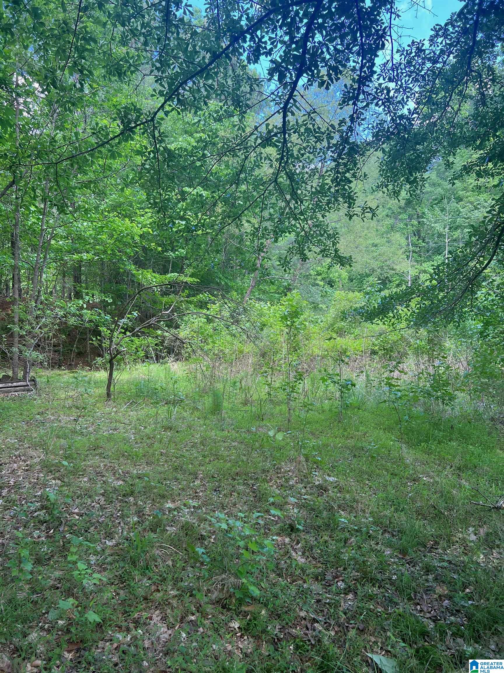 Homes for sale in Quinton, AL | Deer Dr, Quinton, AL 35130 | MLS# 21407801