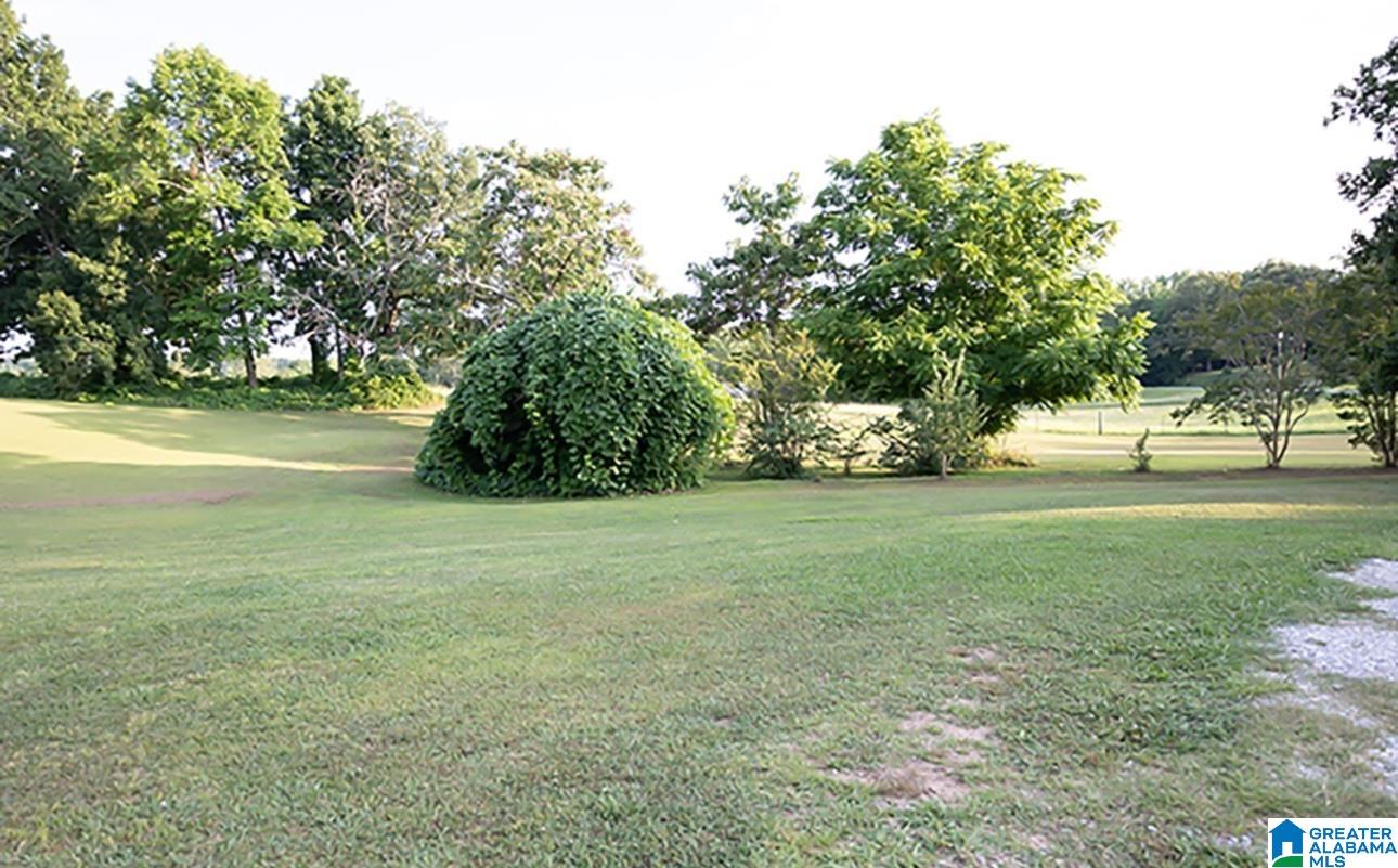 Homes for sale in Ashland, AL | 1219 Owens Road, Ashland, AL 36251 | MLS# 21407811