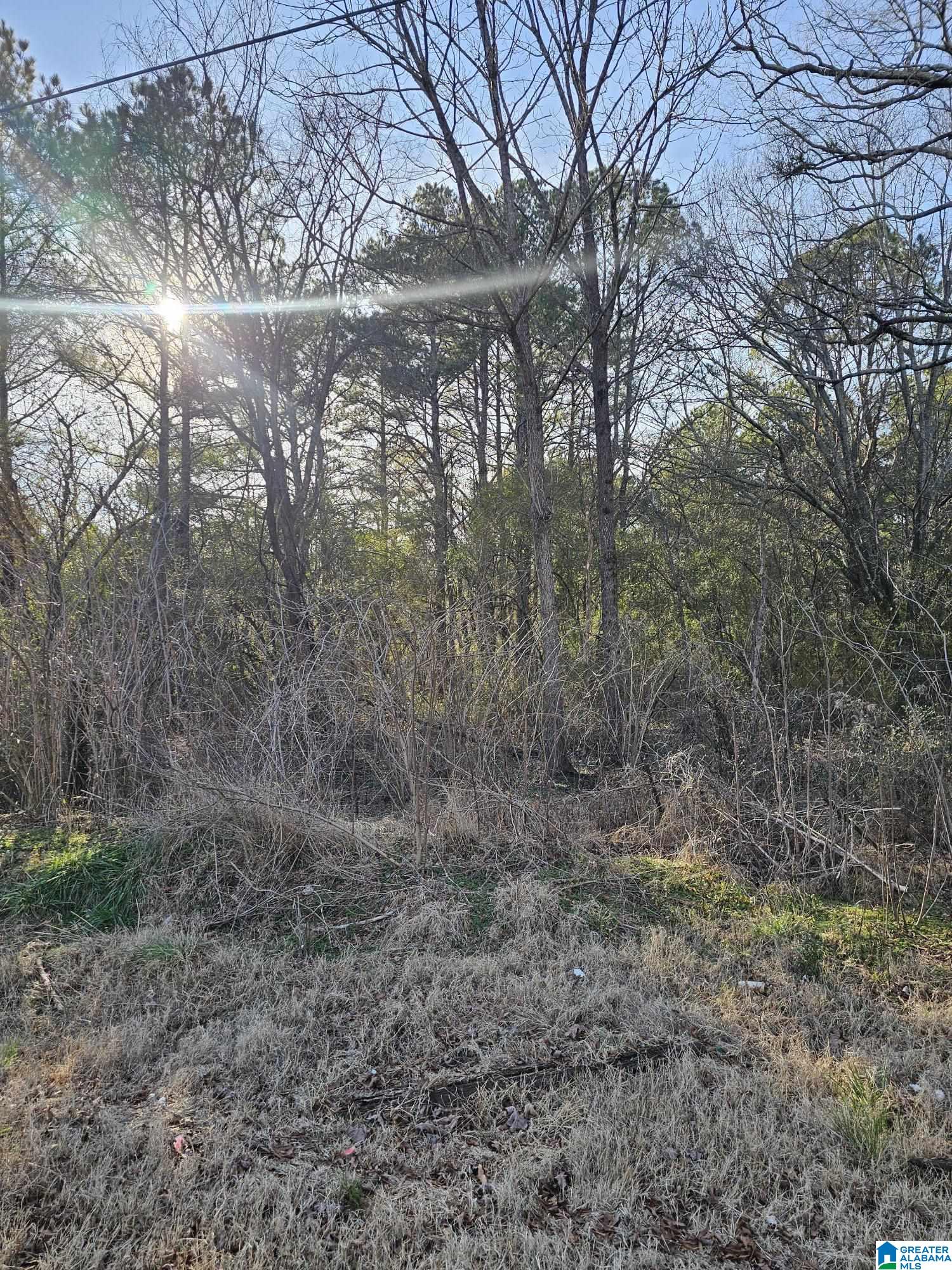 0 ROCKLEDGE ROAD