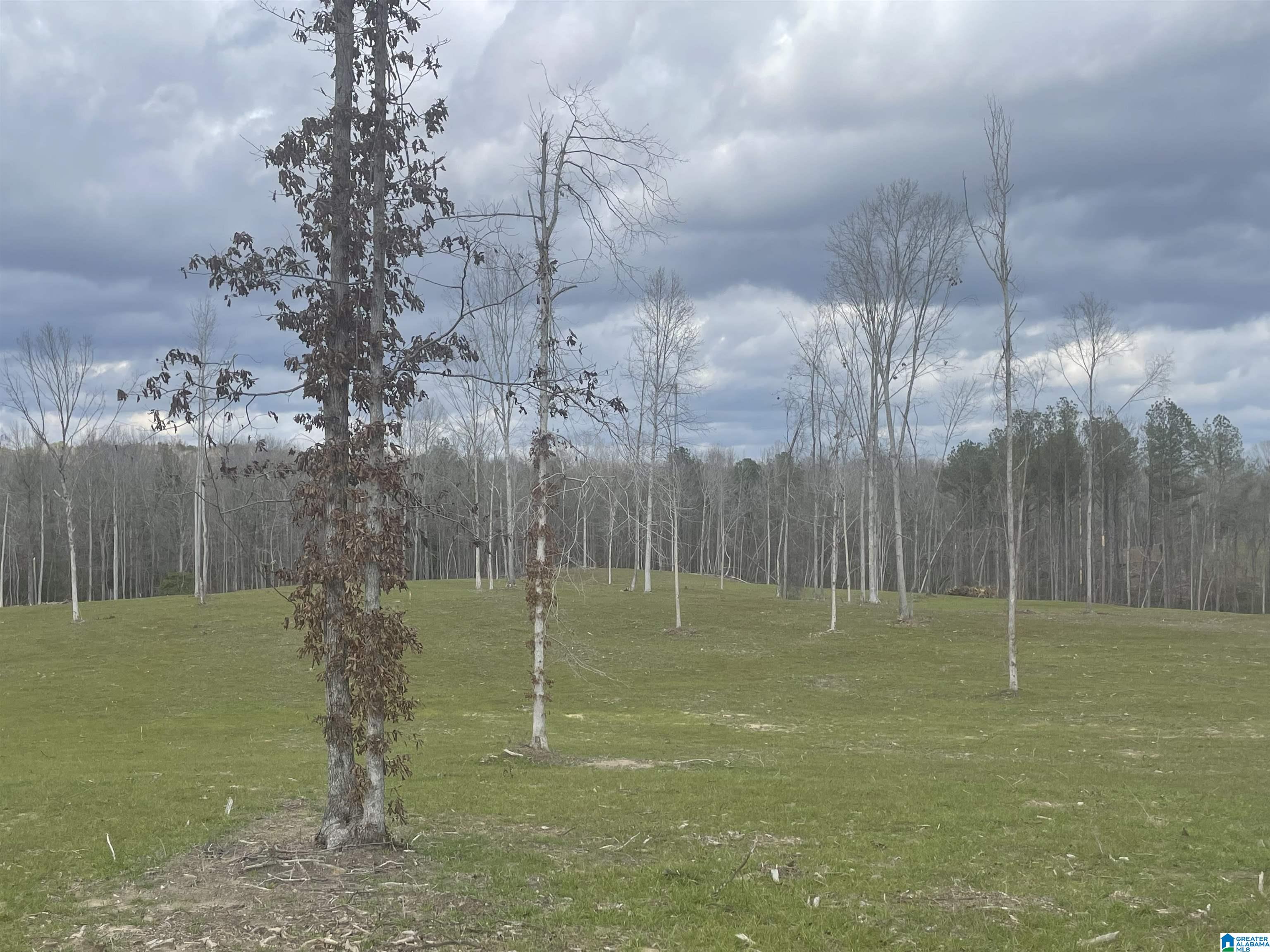 Homes for sale in West Blocton, AL | 003 Truman Aldrich Parkway, West Blocton, AL 35184 | MLS# 21407945